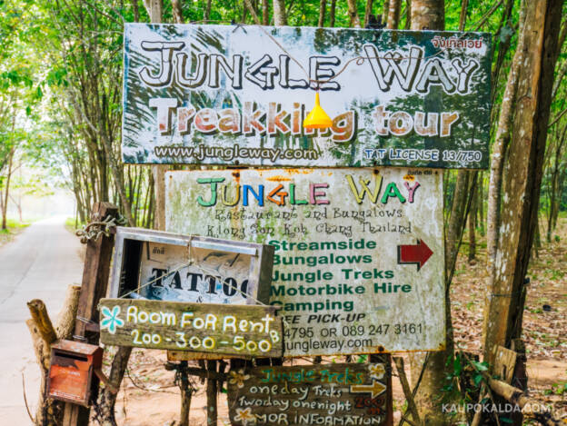 Jungle View Bungalows - sealt keera paremale ja jaluta ca 100m mööda metsateed