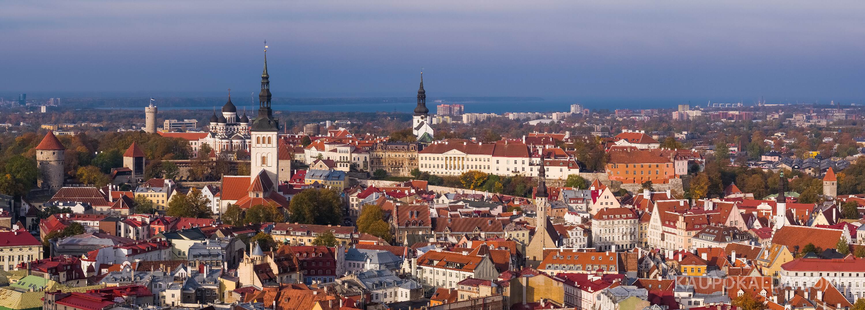 Uhke linn trikoloori all