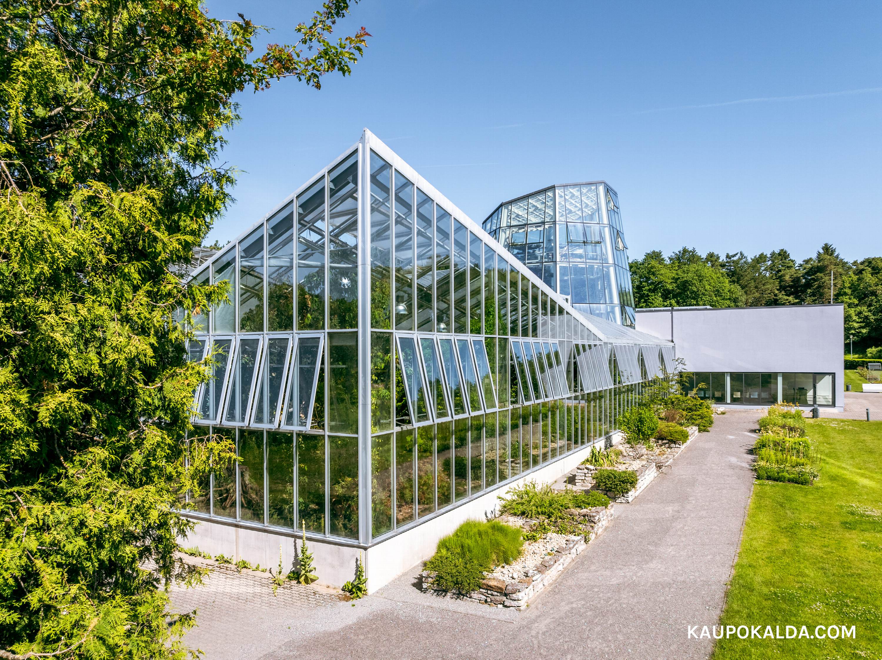 Tallinna Botaanikaaed