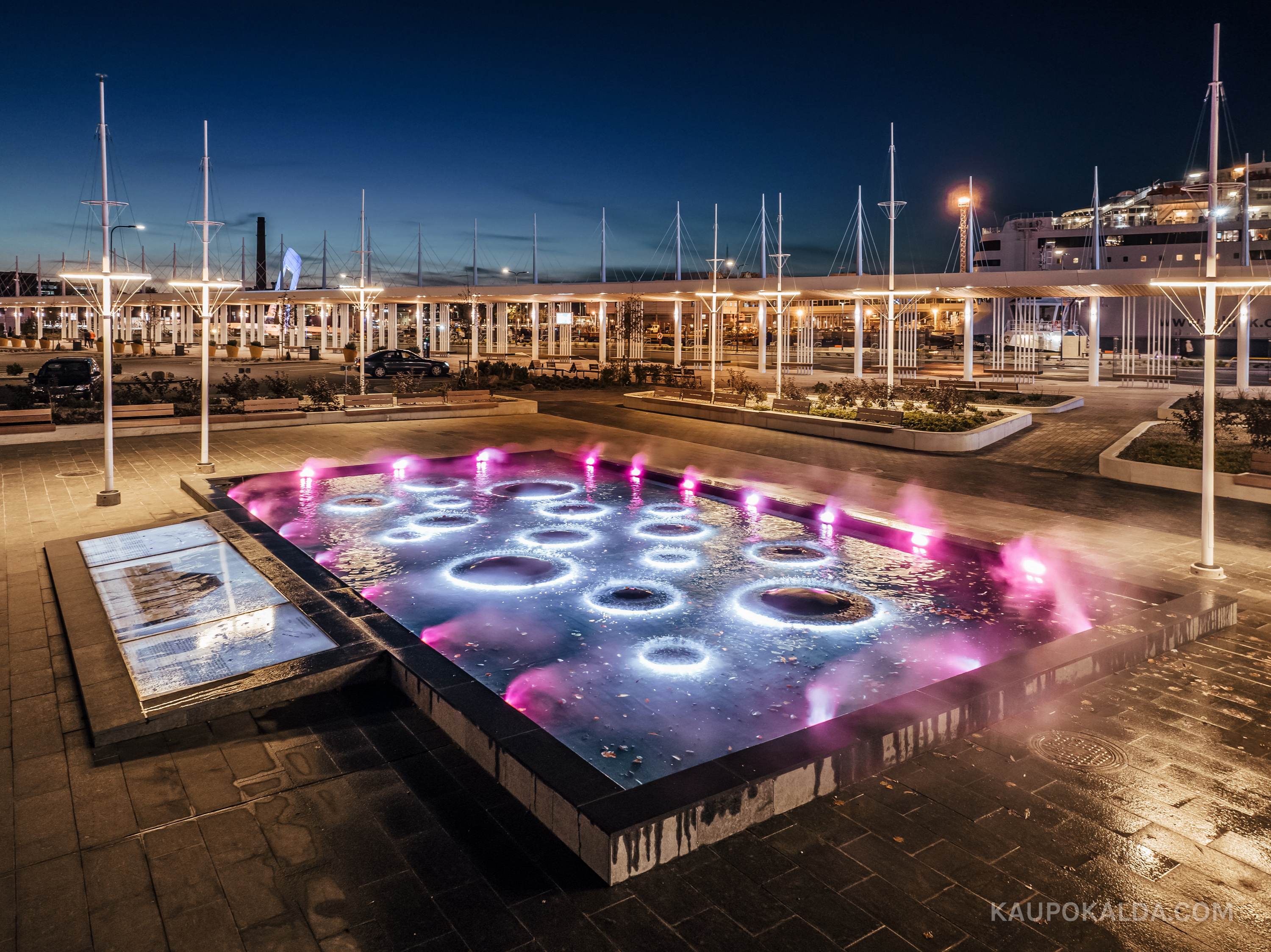 Tallinna Vanasadama D-terminal ja väliala