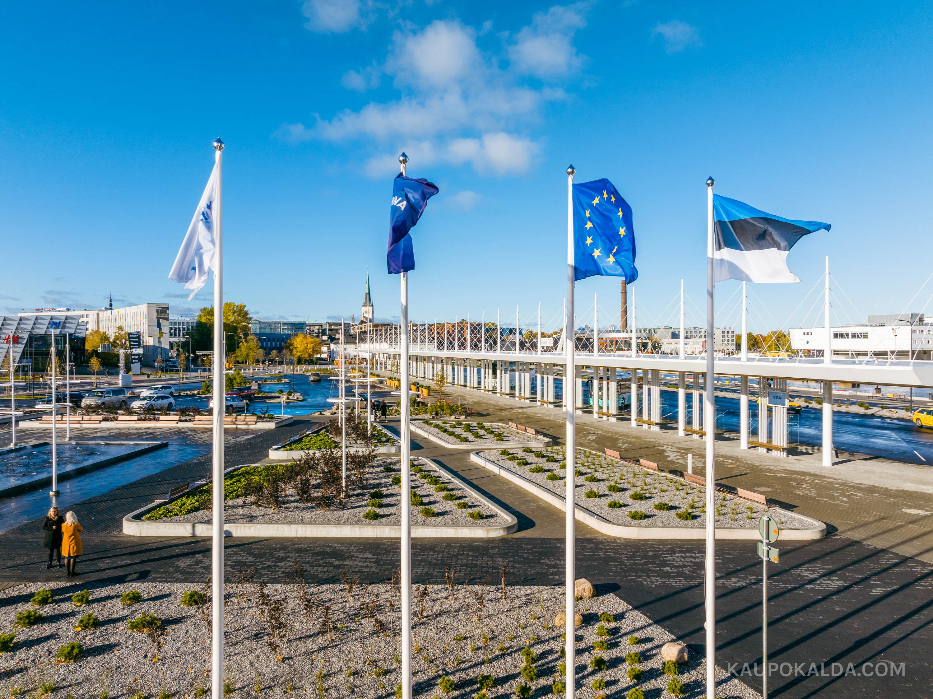 Tallinna Vanasadama D-terminal ja väliala