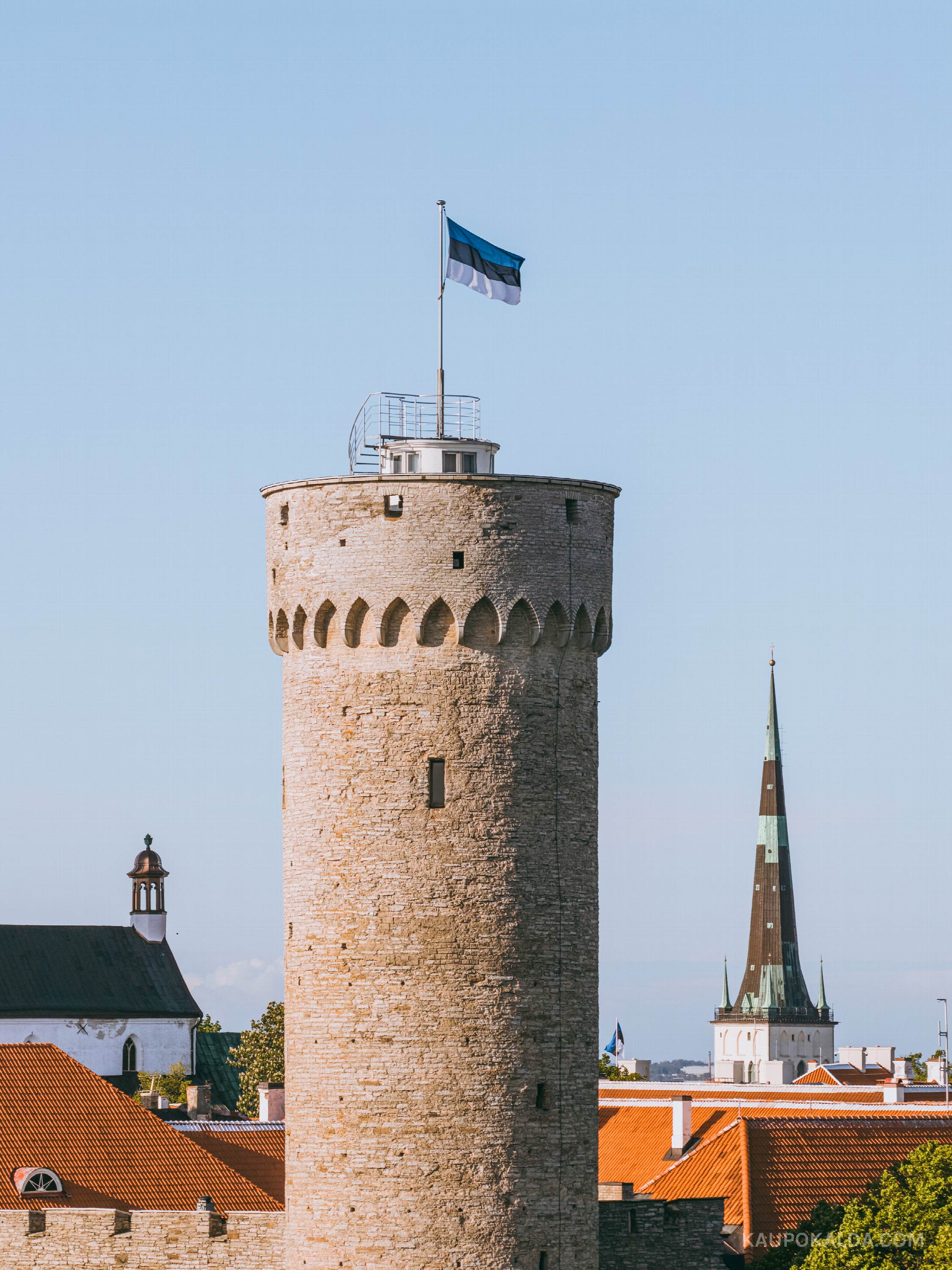 Pikk Hermann ja sinimustvalge lipp