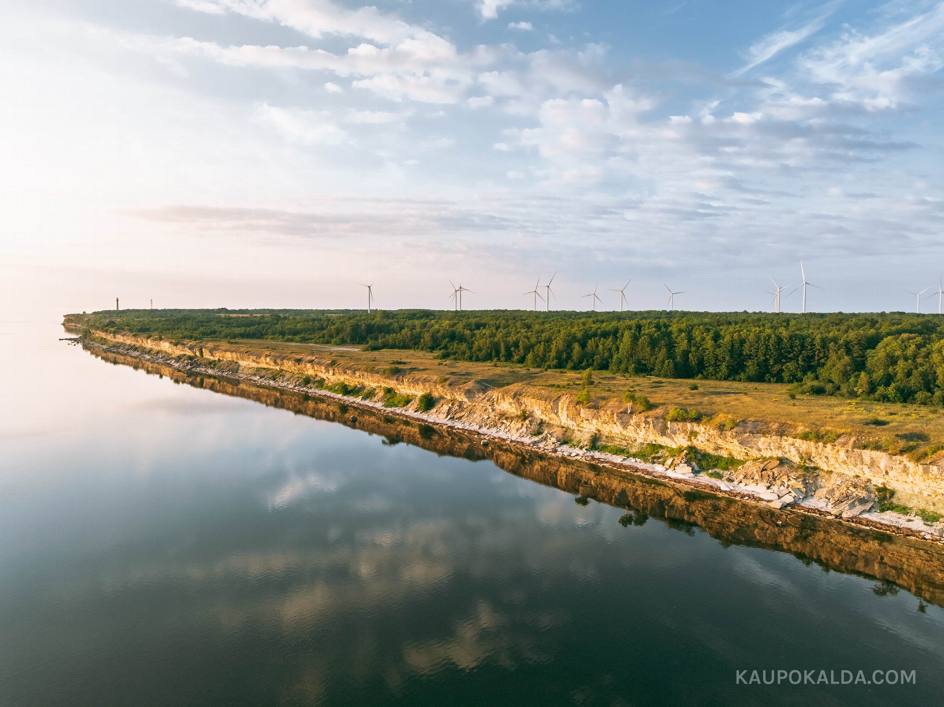 Pakri panga peegeldus