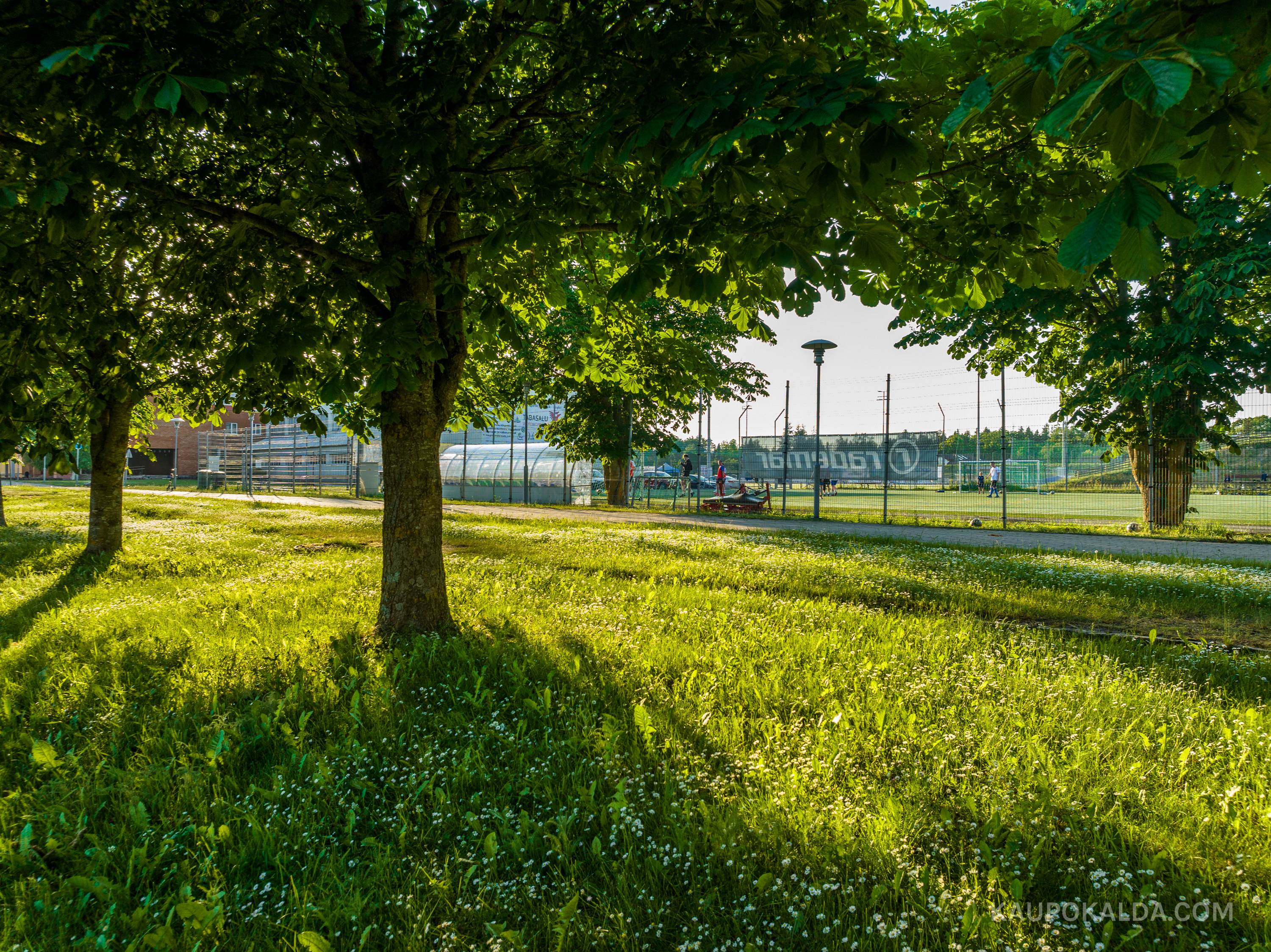 Tabasalu Spordikeskus