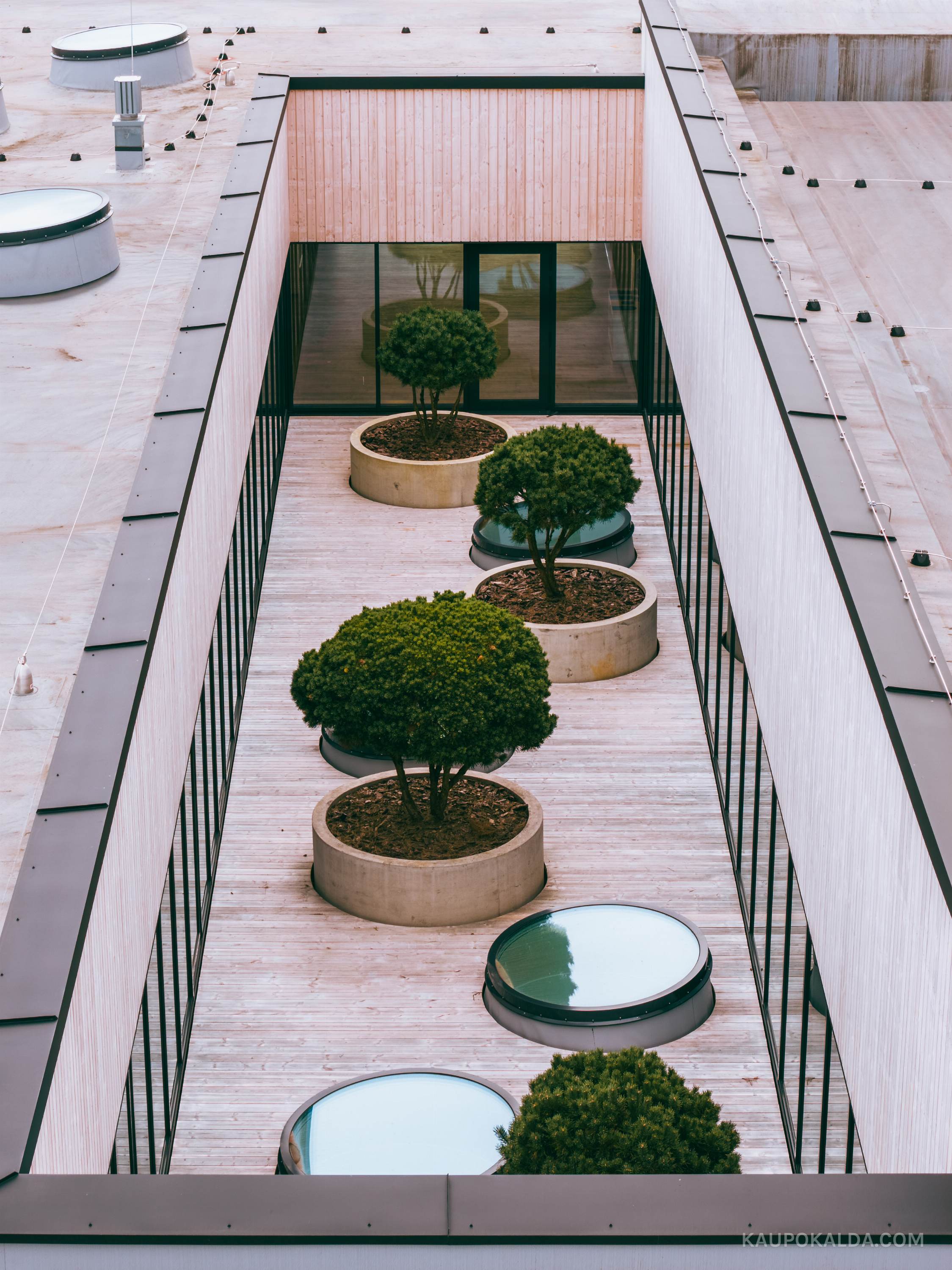 Saku Gümnaasiumi õppehoone TÄPP