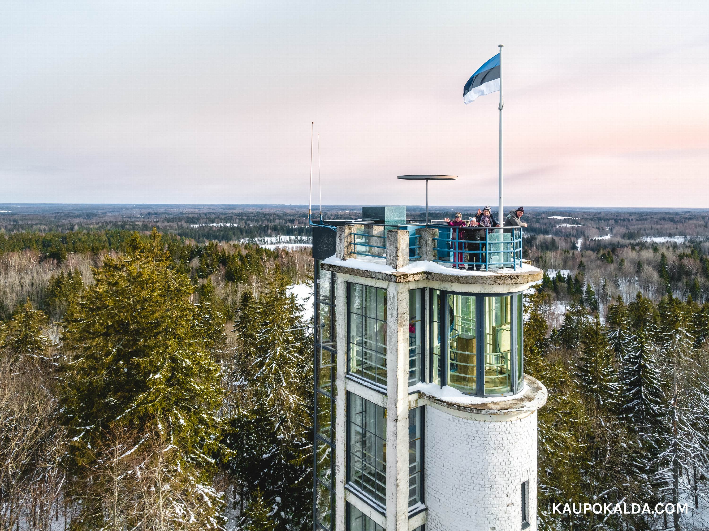 Suure Munanäe vaatetorn