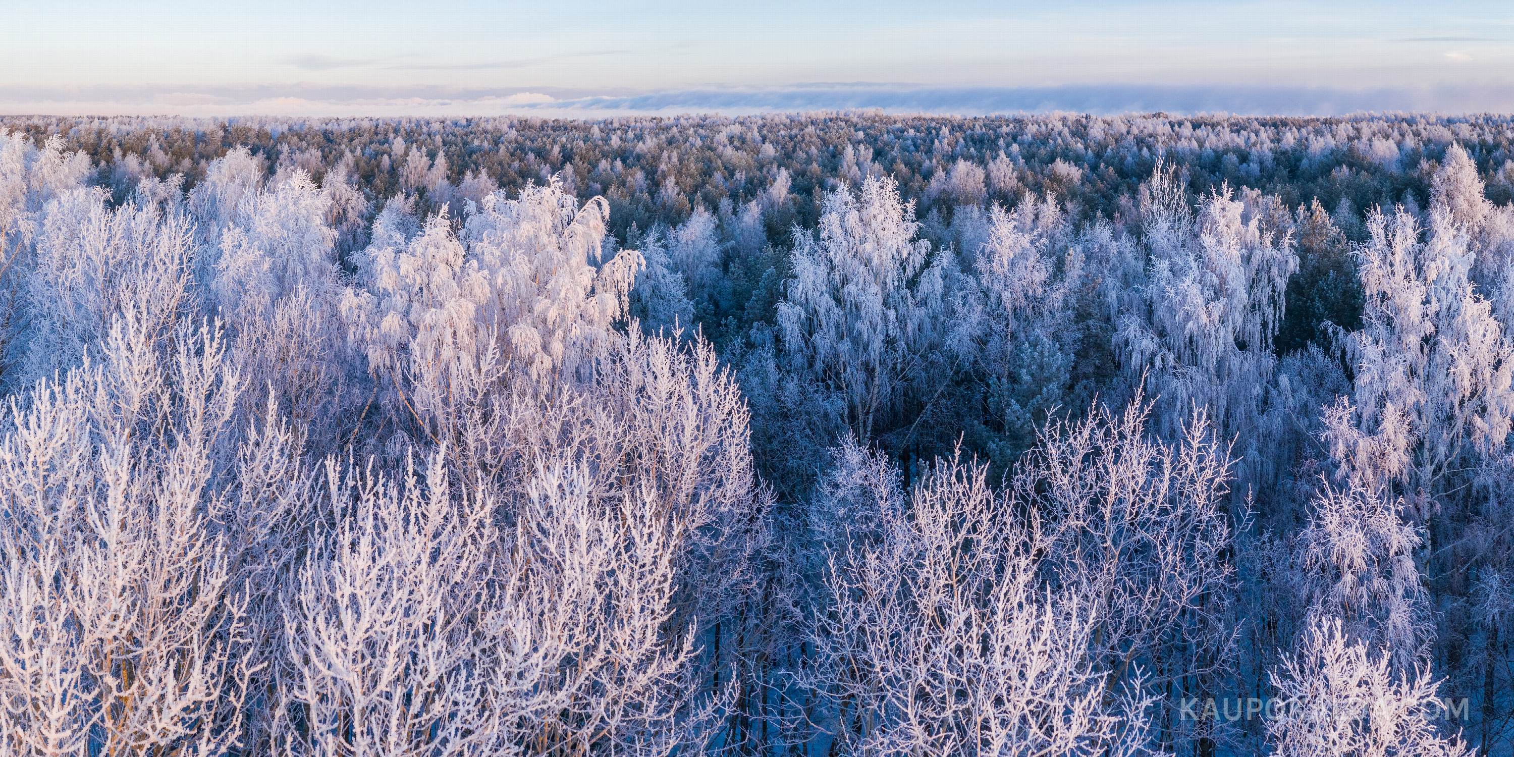Karge hommik Kakumäel