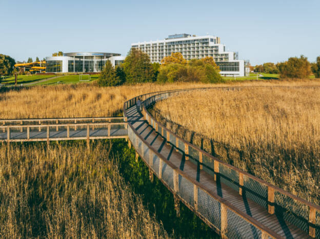 Tervise Paradiis, Pärnu