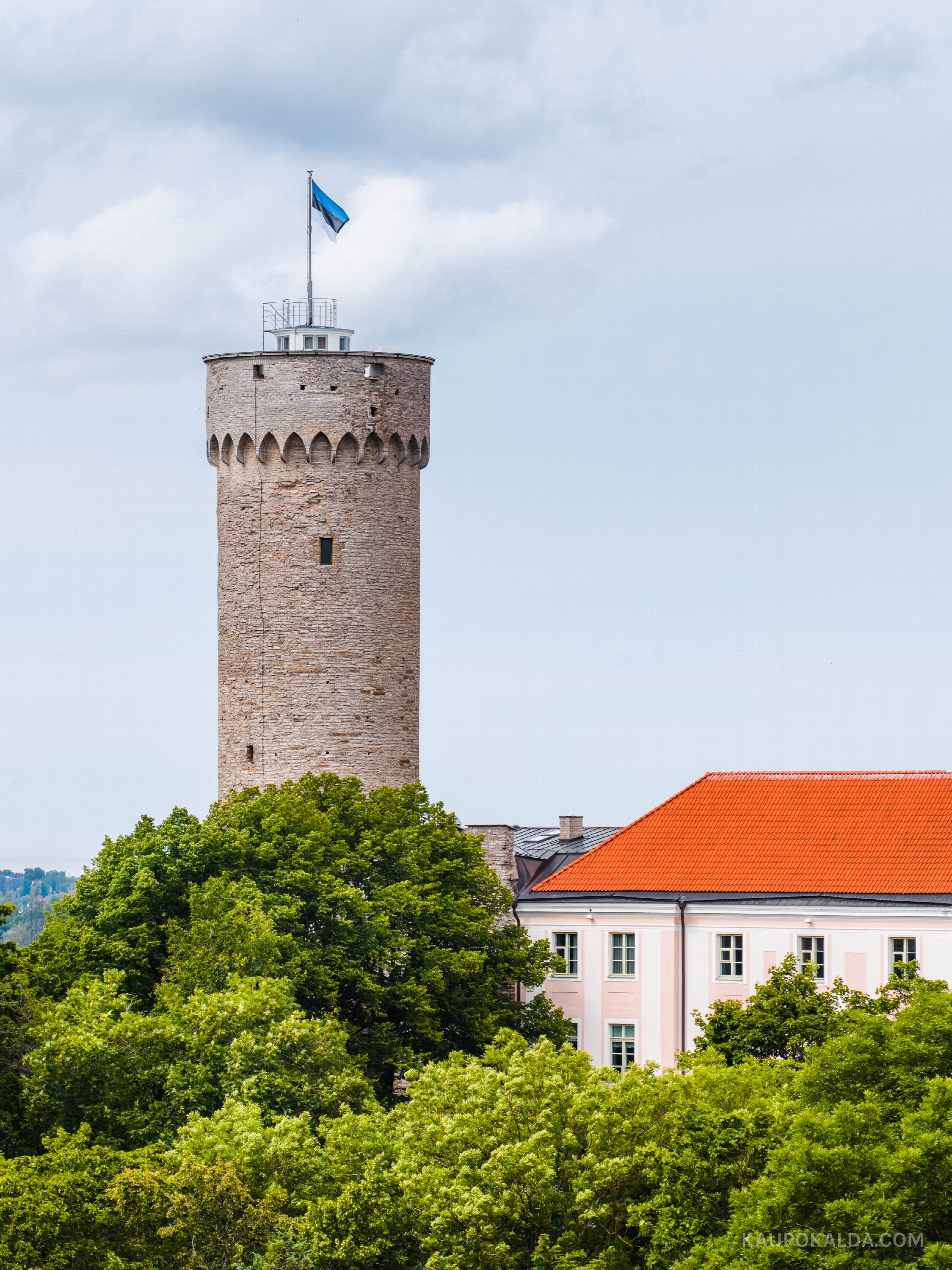 Pikk Hermann ja sinimustvalge lipp