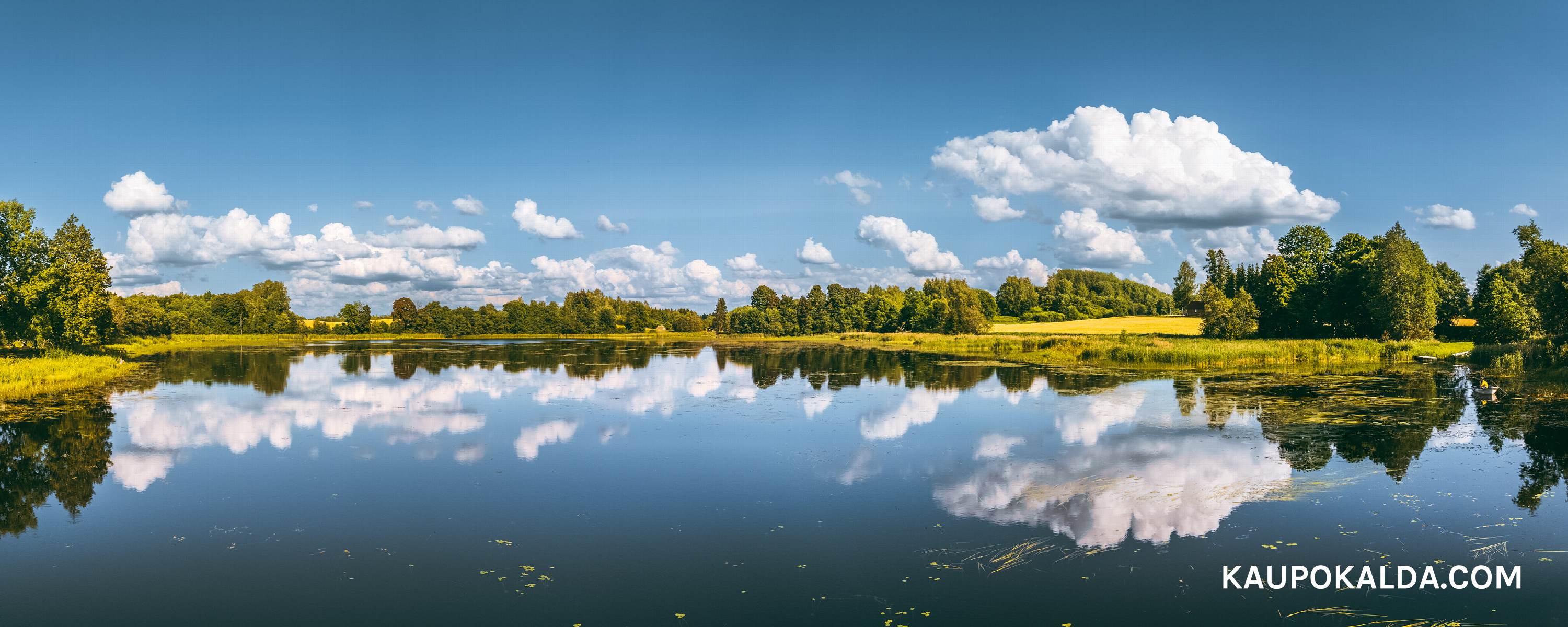 Peegeldus Saaluse alajärvel