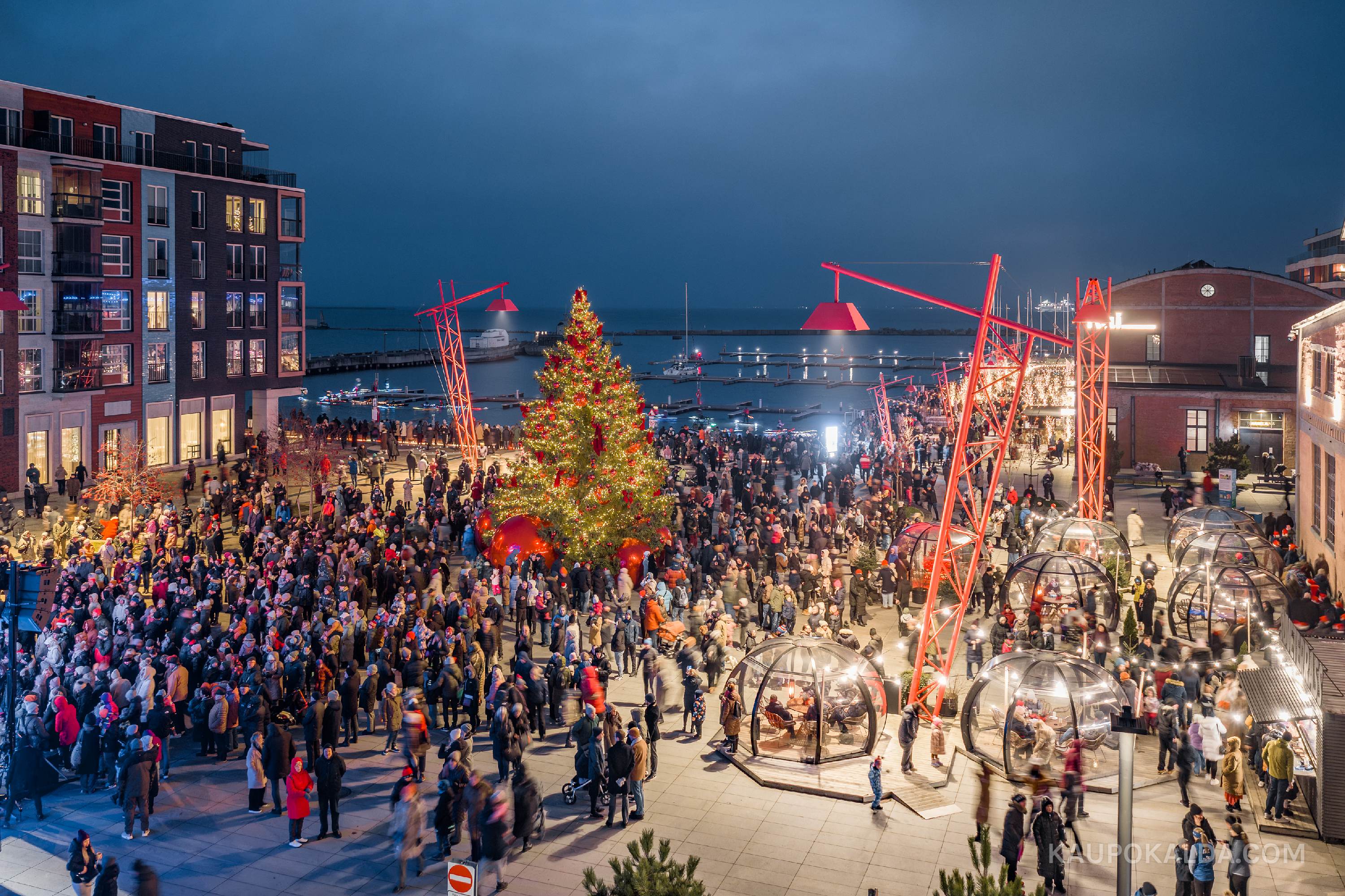 Jõulud Noblessneris, 2025