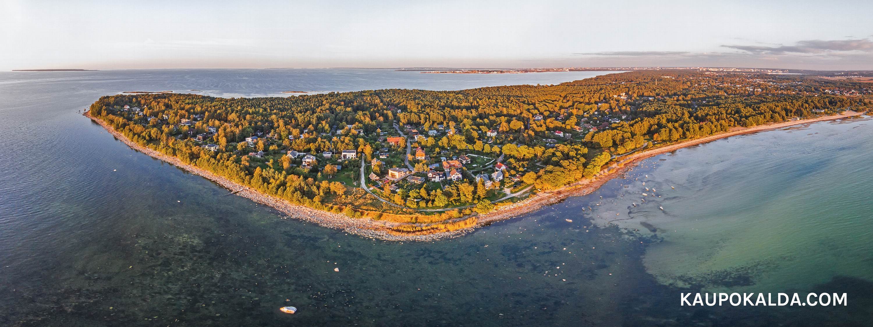 Uhke Kakumäe õhtupäikeses