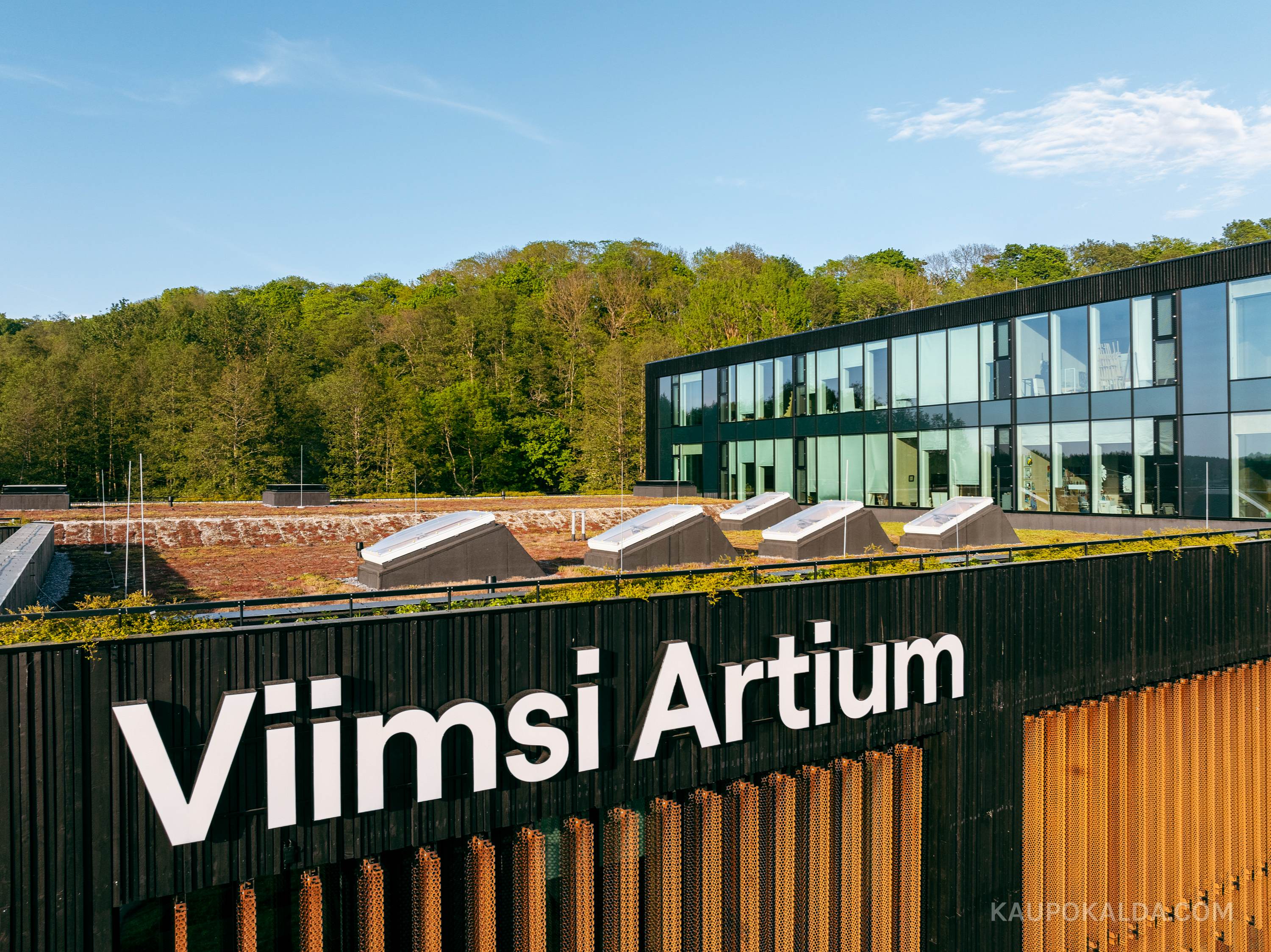 Viimsi Artium