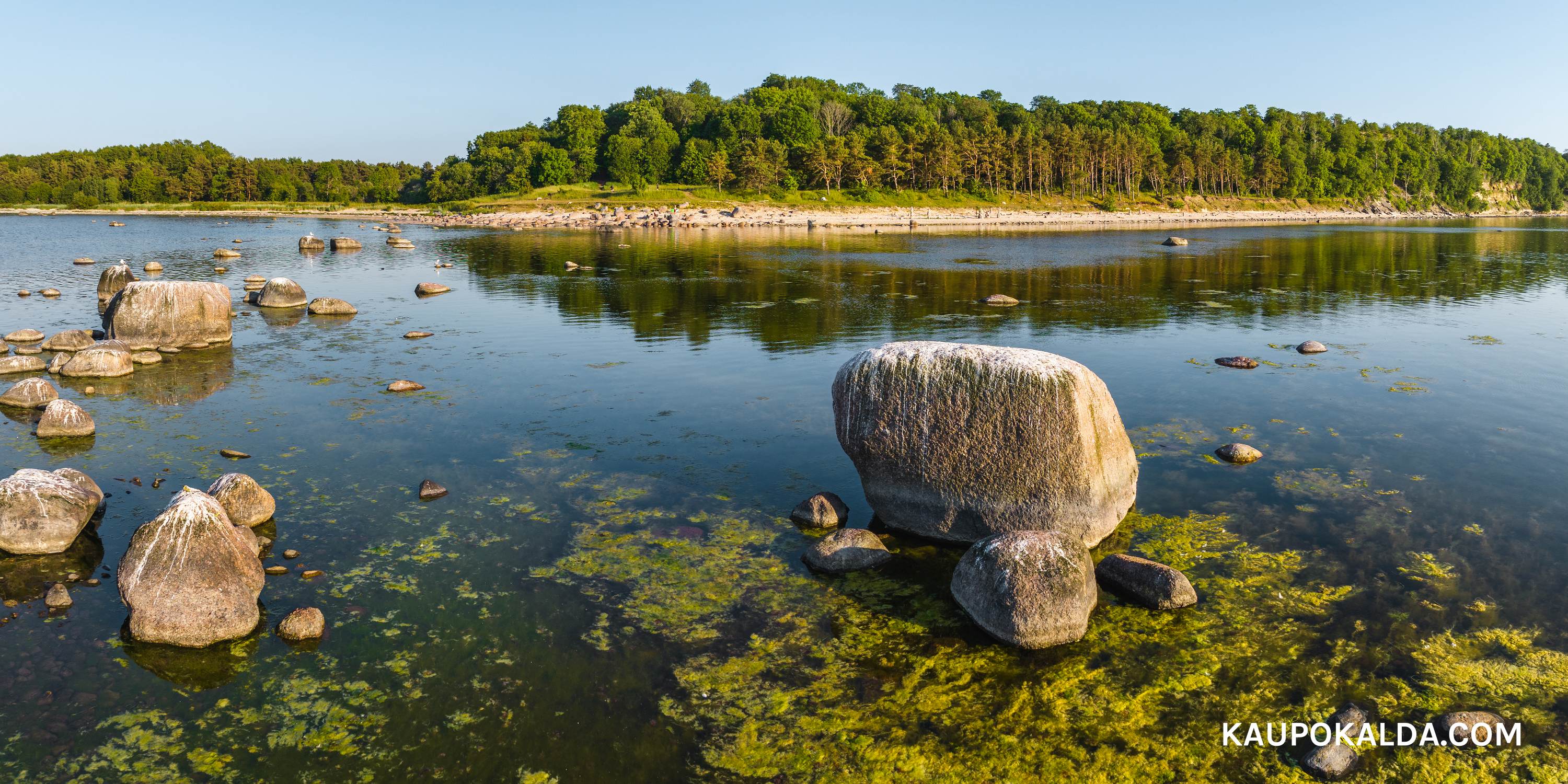 Palav õhtupoolik Vääna-Jõesuu rannas