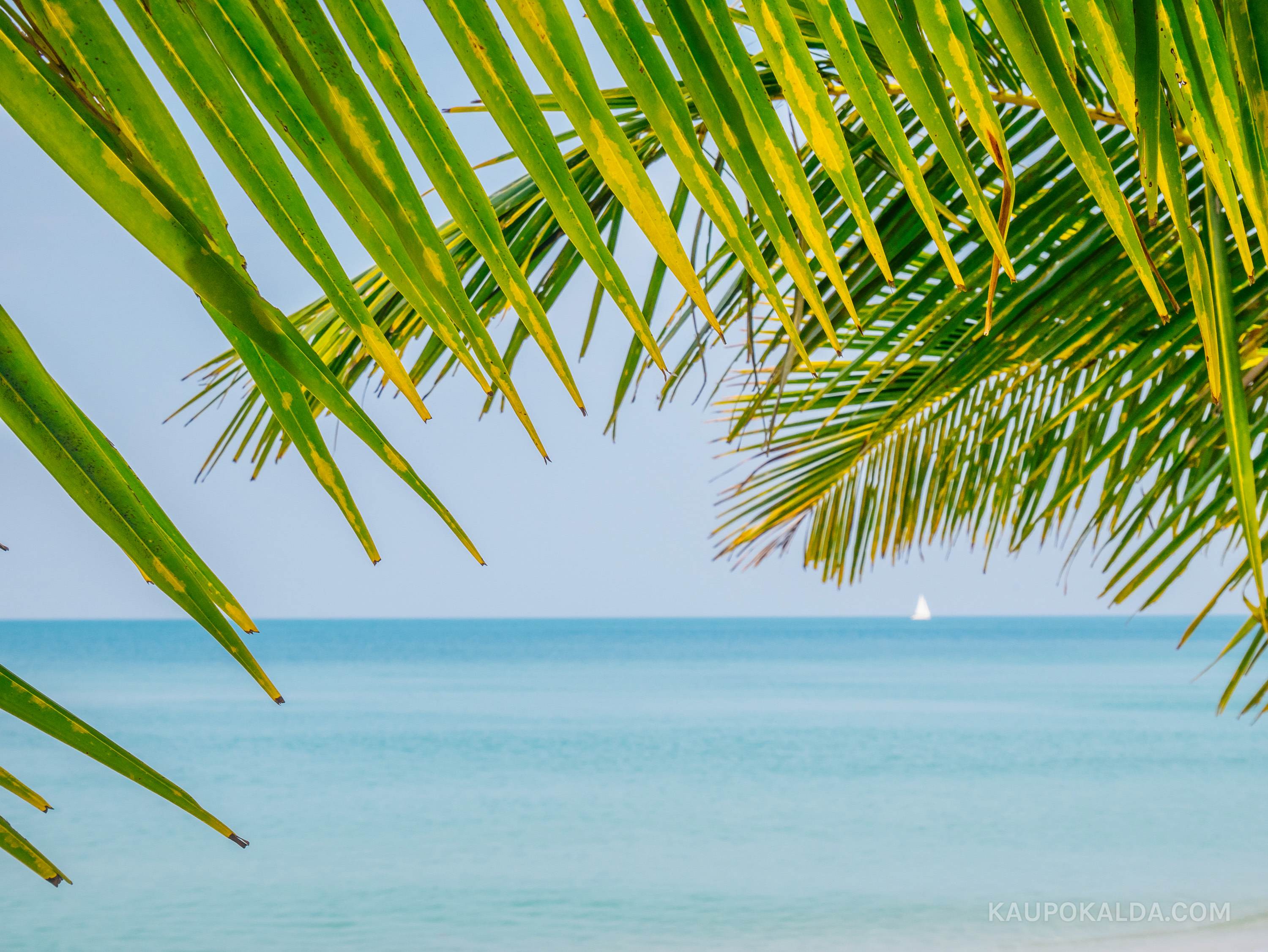 White Sand Beach Resort