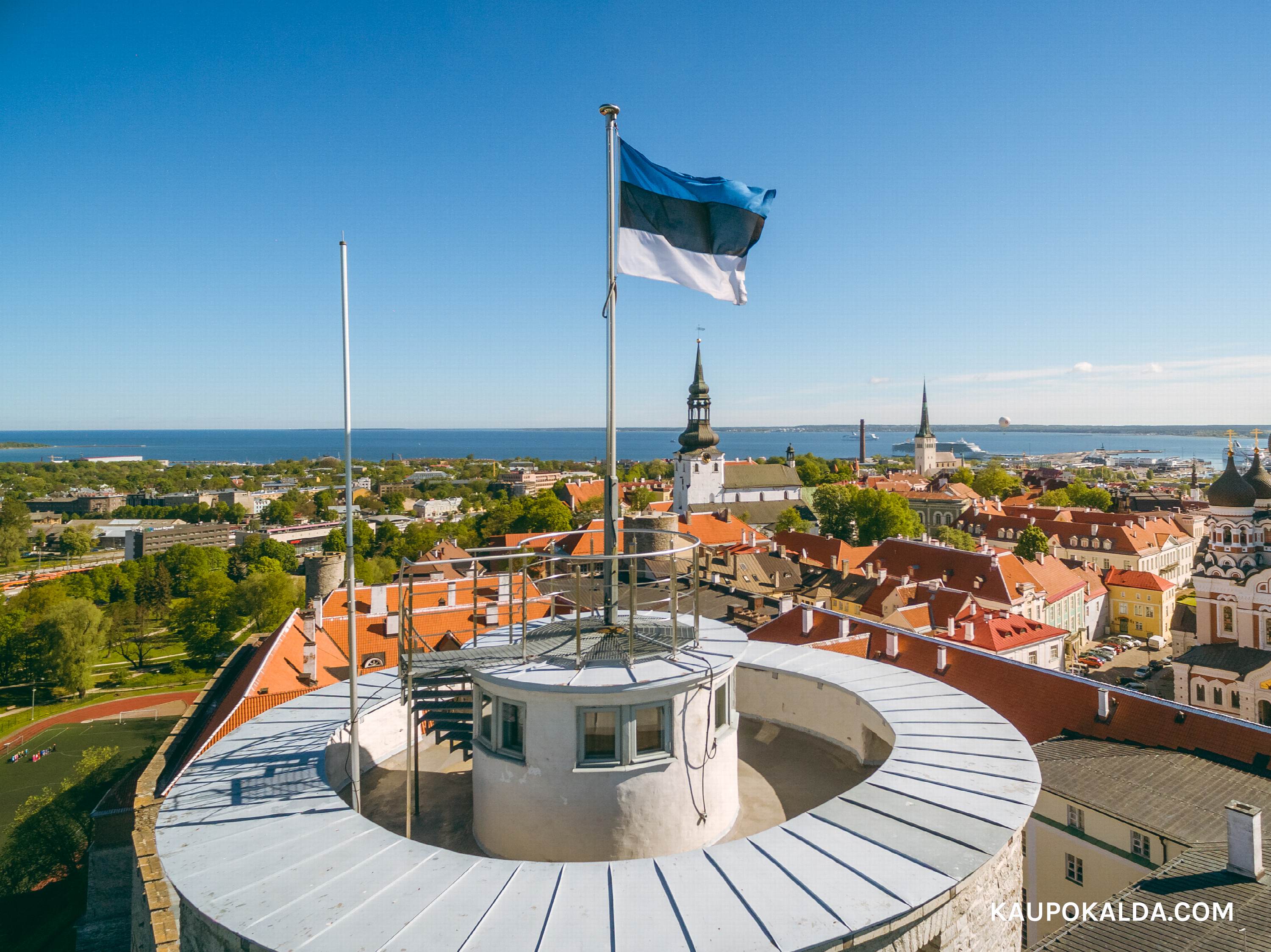 Sini-must-valge lipp Pika Hermanni tipus