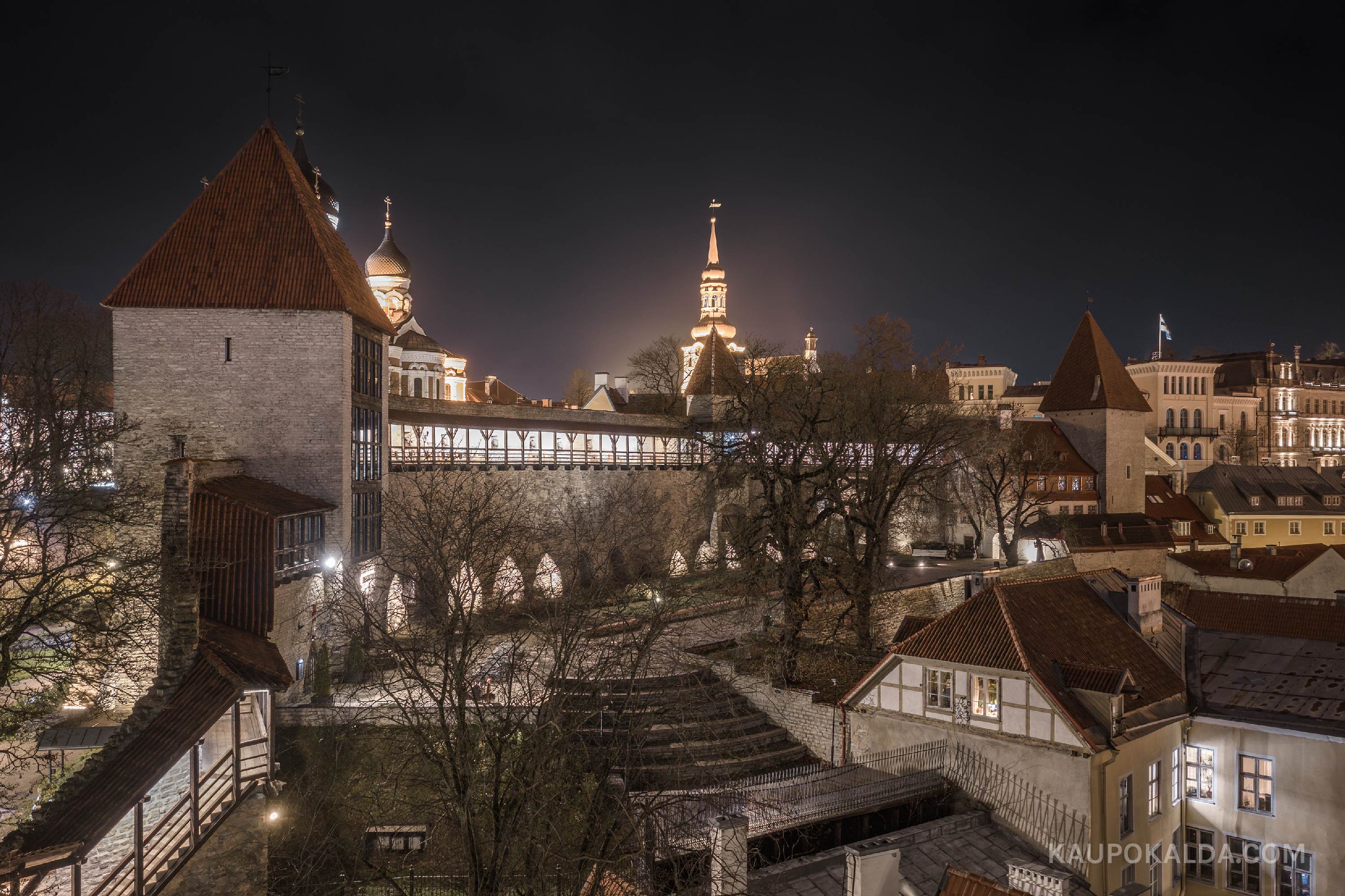 Öö Taani kuninga aias