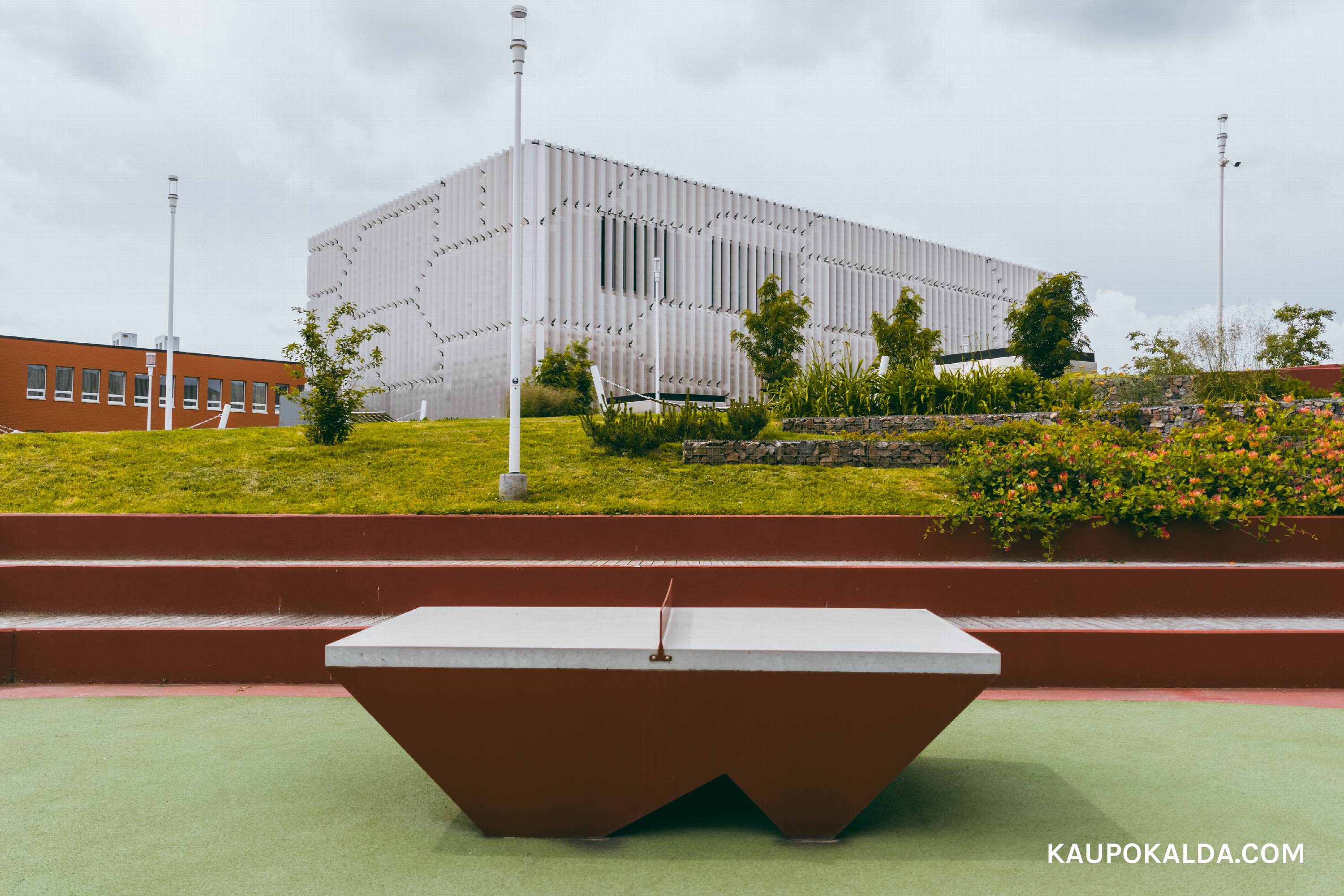 Mustamäe Riigigümnaasium