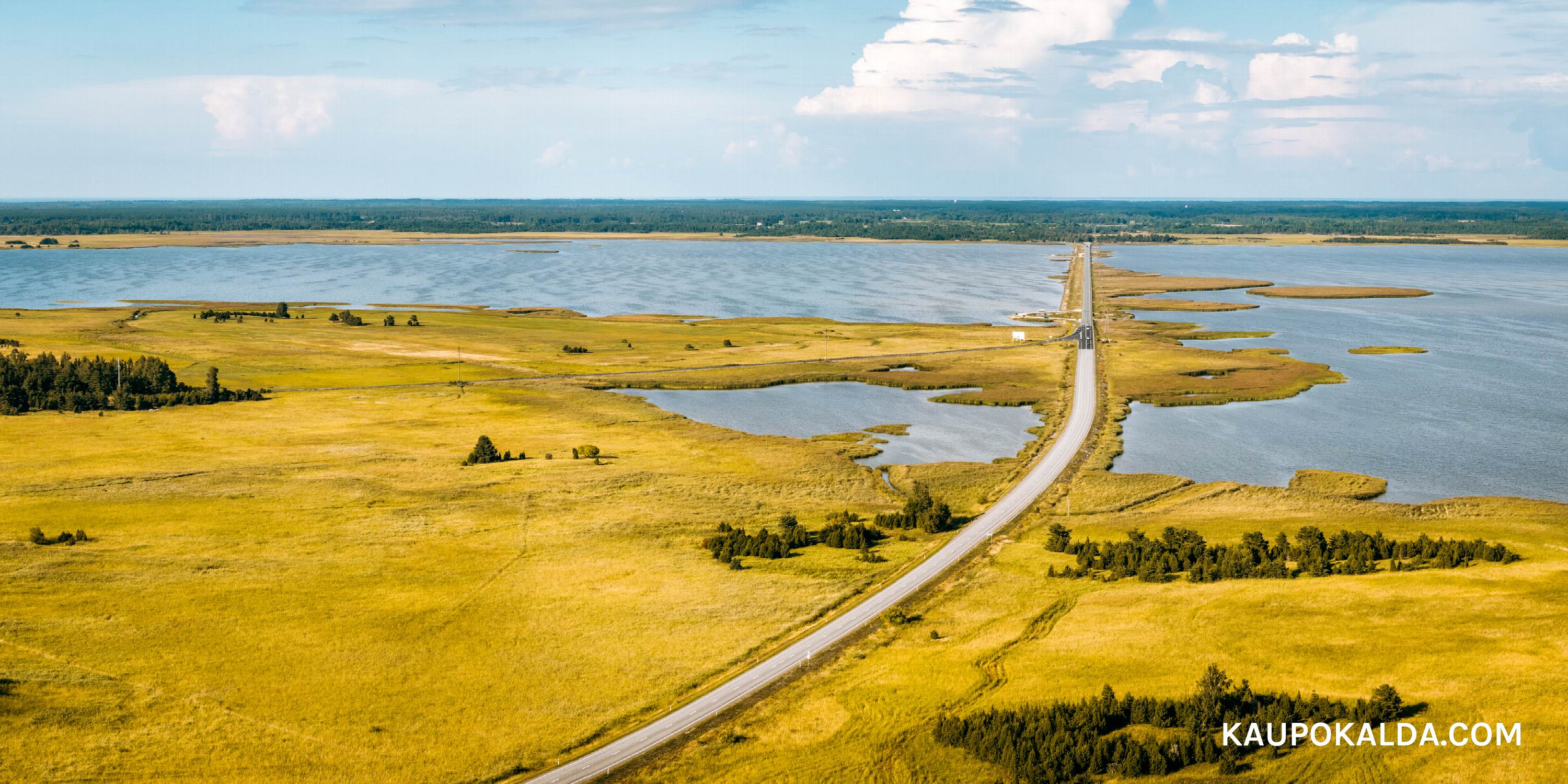 Väikese väina tamm