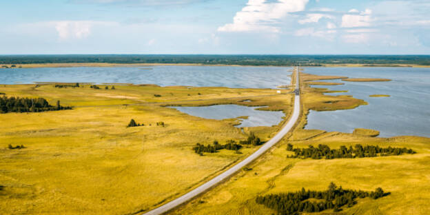 Väikese väina tamm