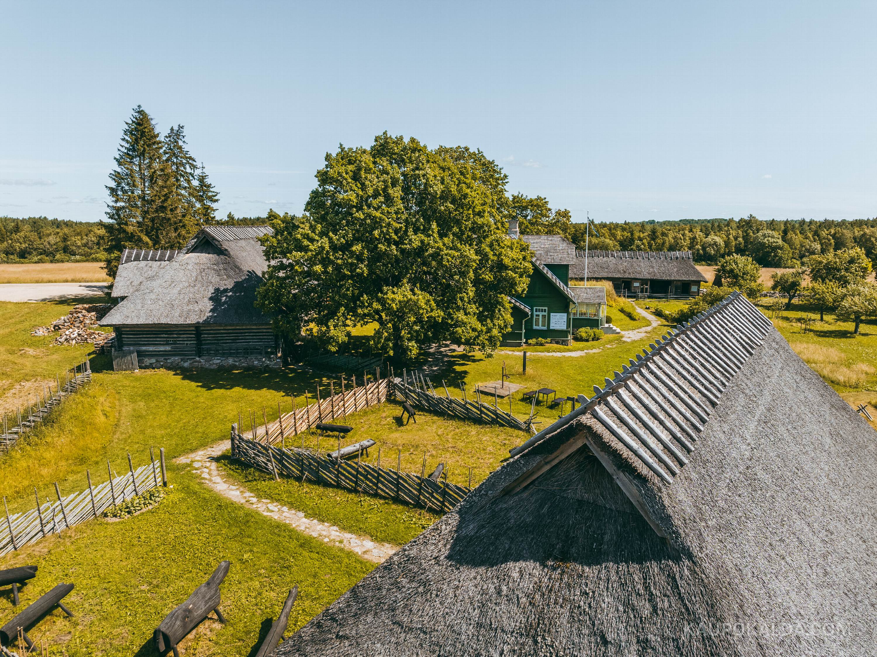 Tammsaare muuseum Vargamäel