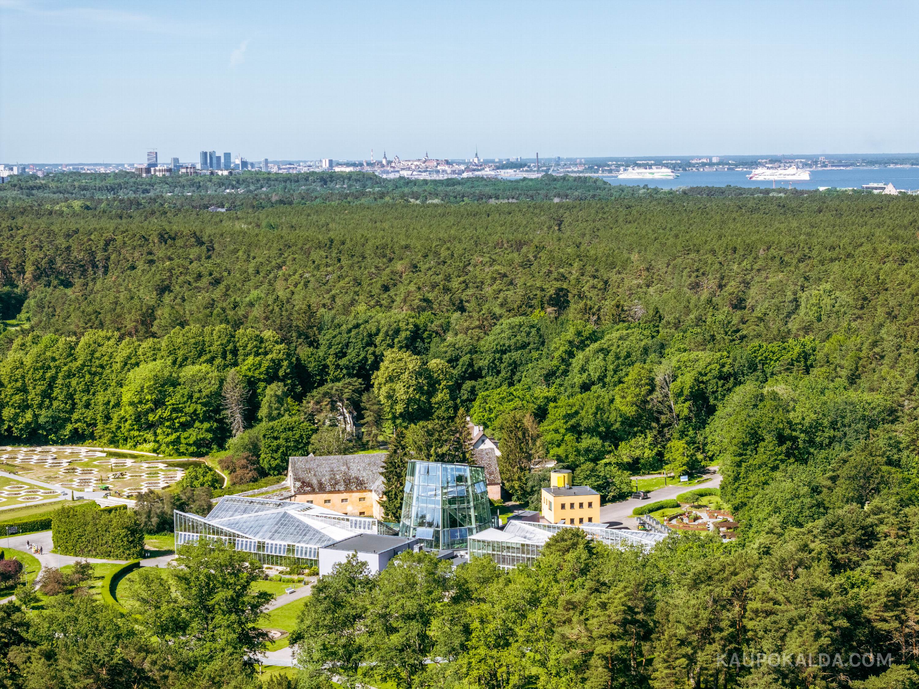 Tallinna Botaanikaaed