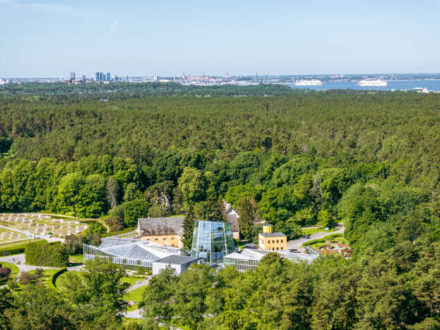Tallinna Botaanikaaed