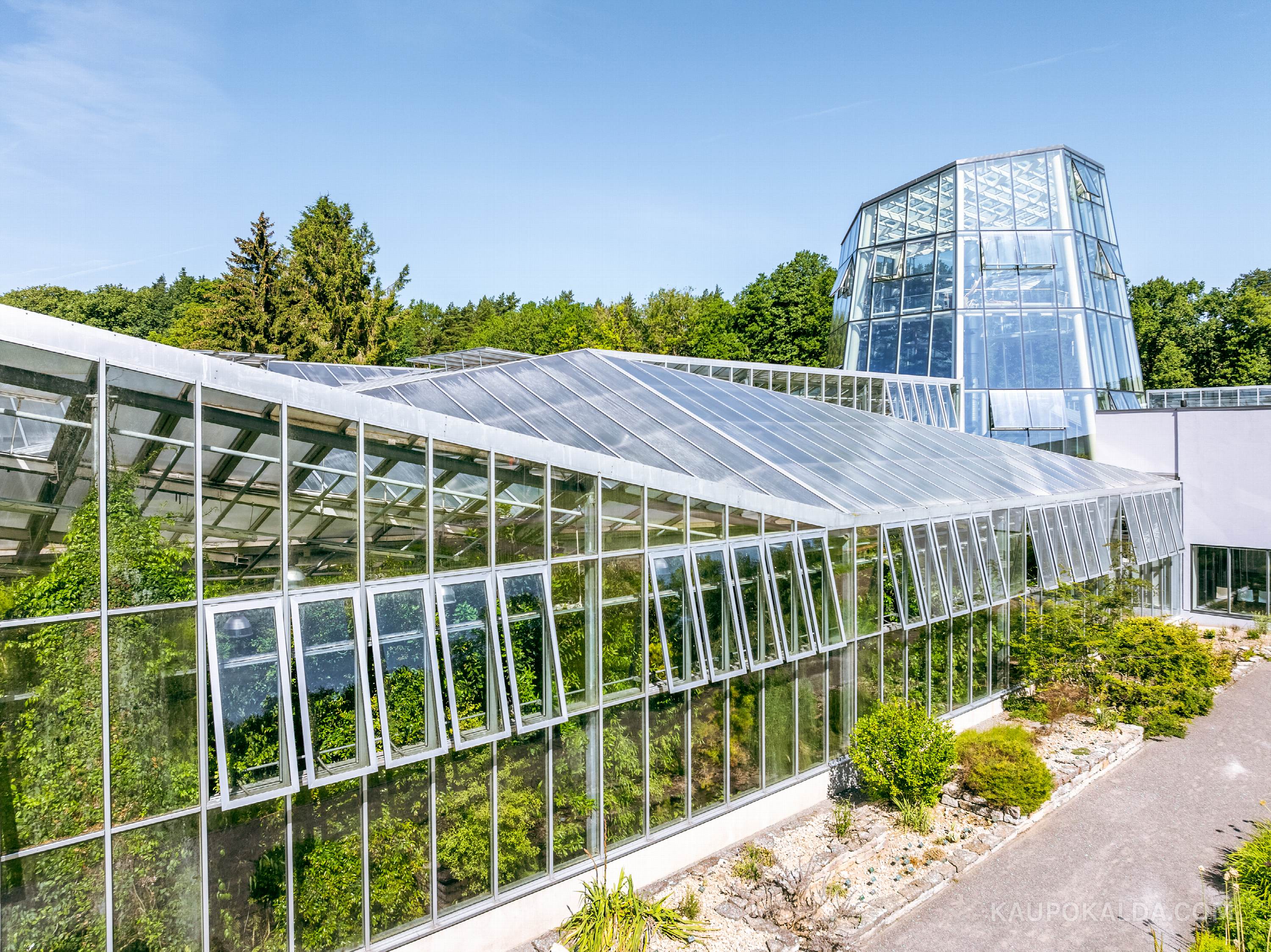 Tallinna Botaanikaaed