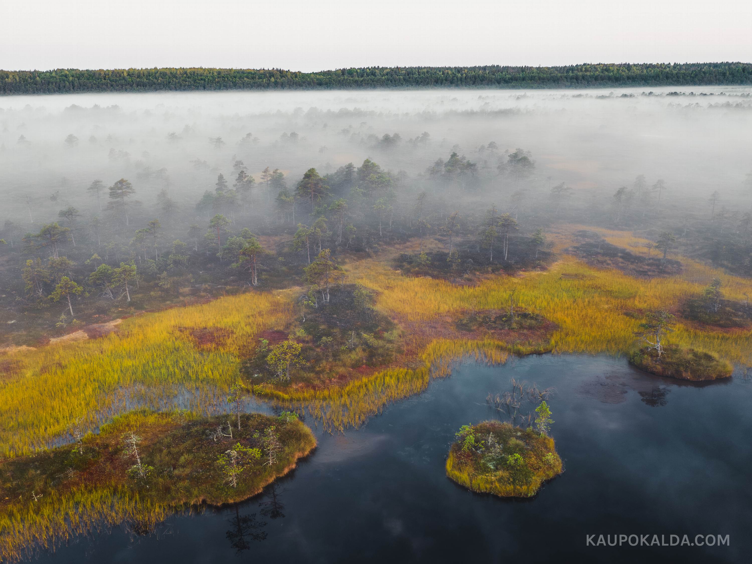 Udune päikesetõus Kakerdaja rabas