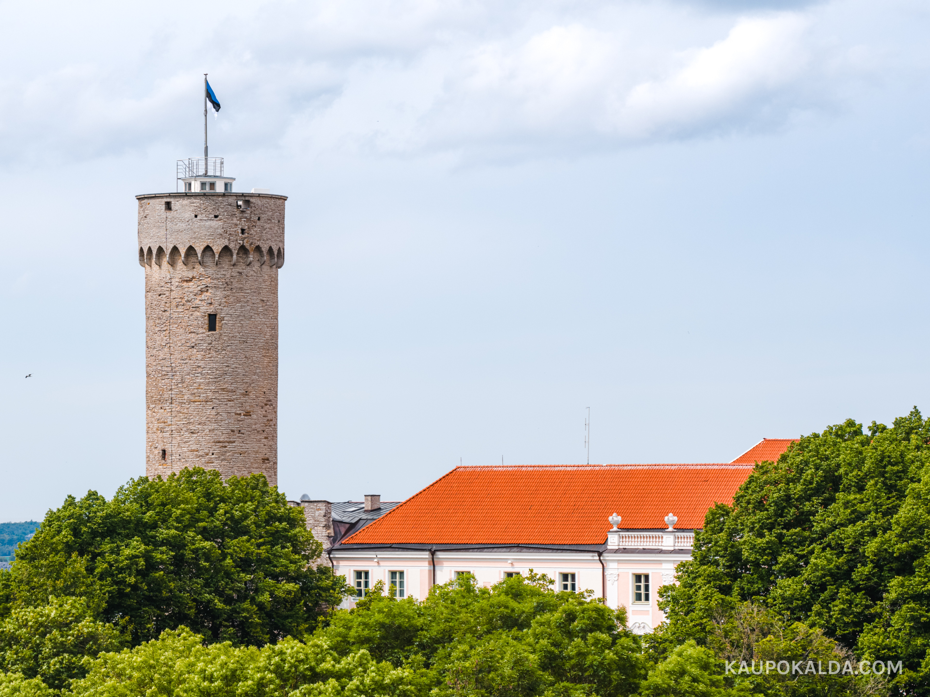 Pikk Hermann ja sinimustvalge lipp
