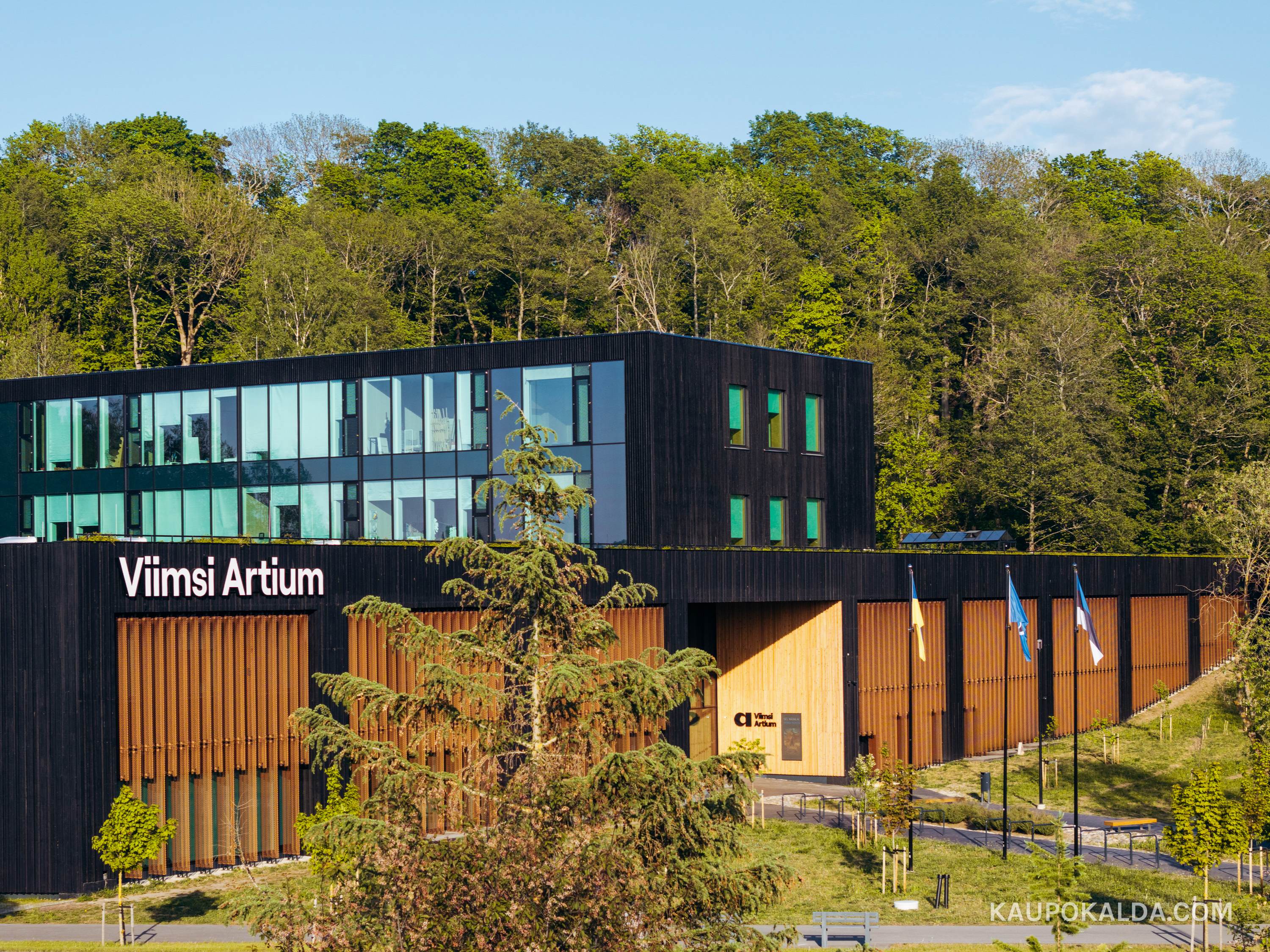 Viimsi Artium