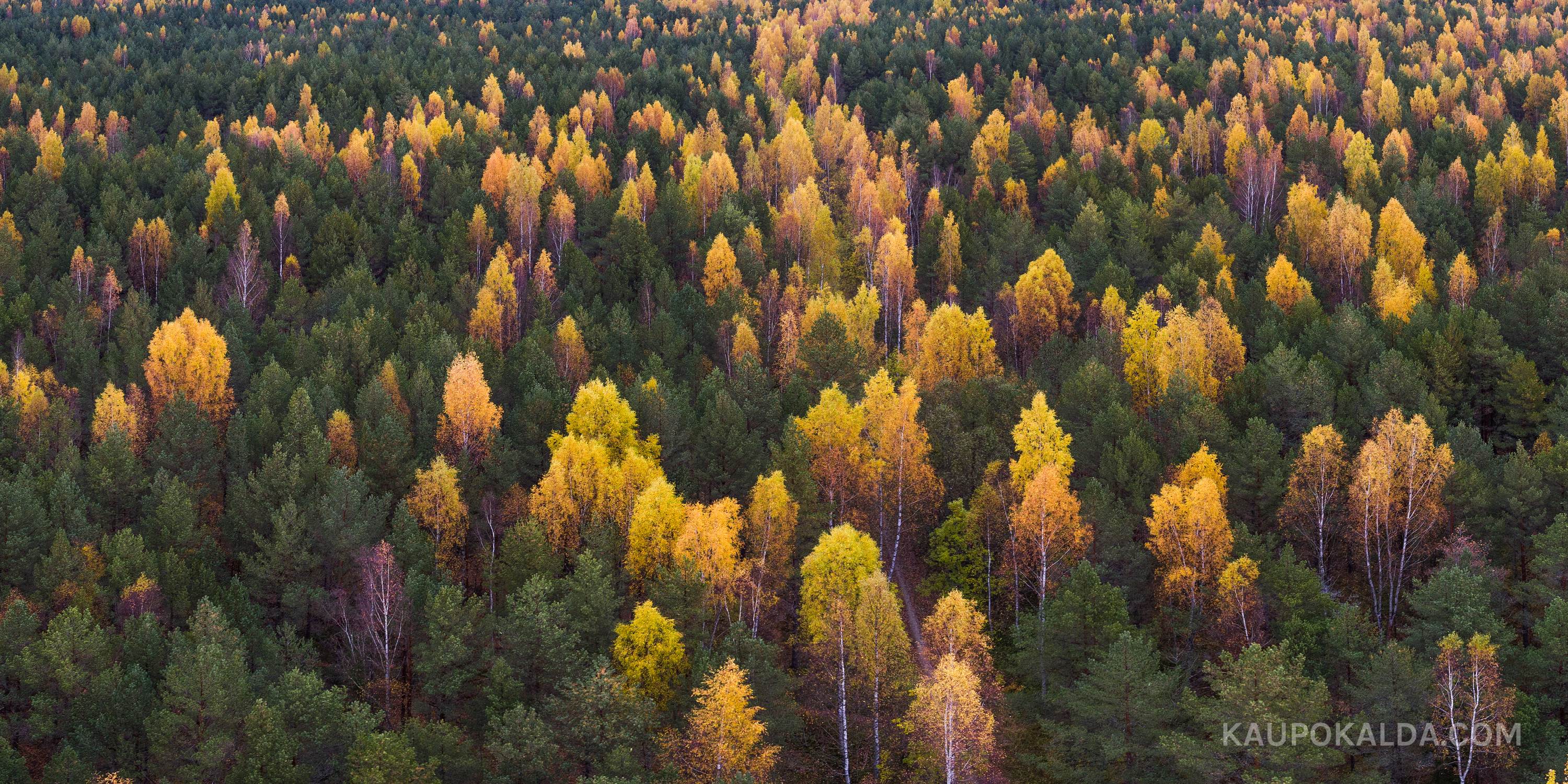 Sügisvärvid Kakumäel