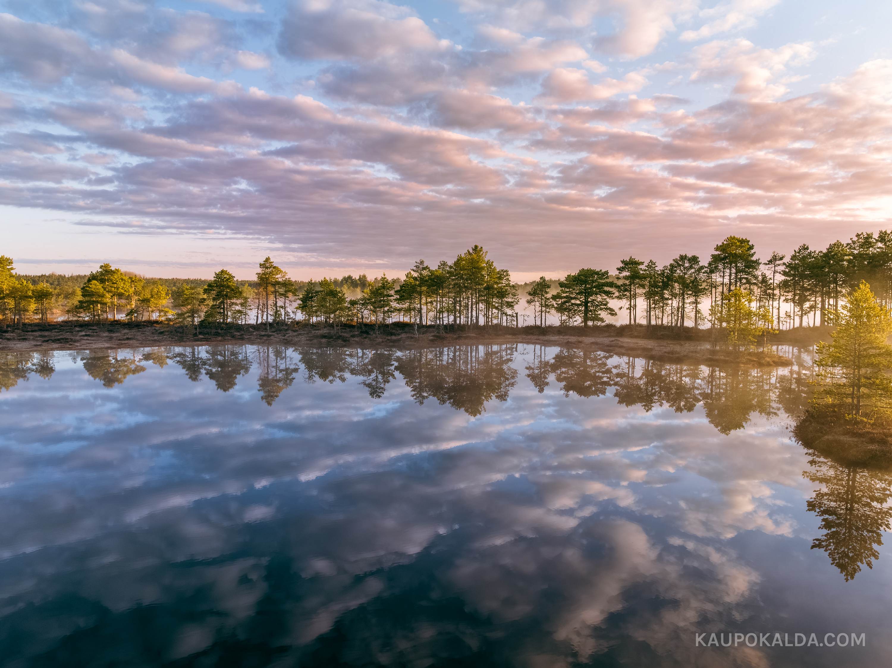 Kakerdaja raba imeline peegeldus