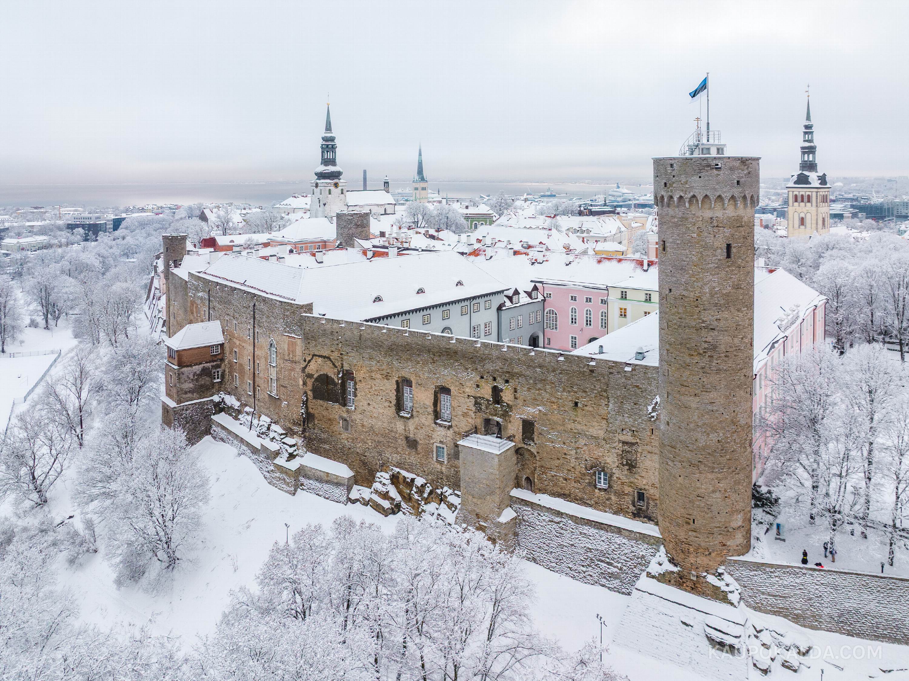 Toompea loss ja Pikk Hermann