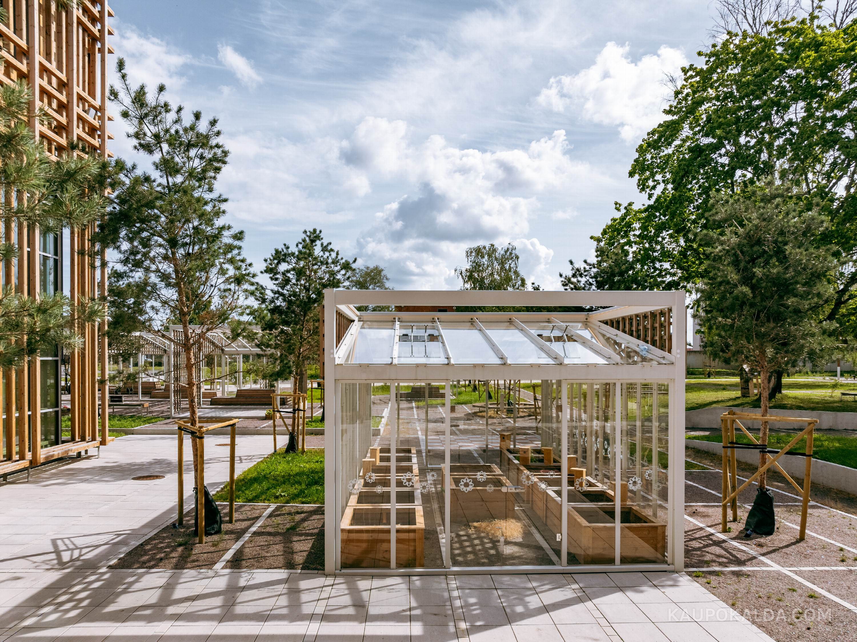 Pelgulinna Riigigümnaasium