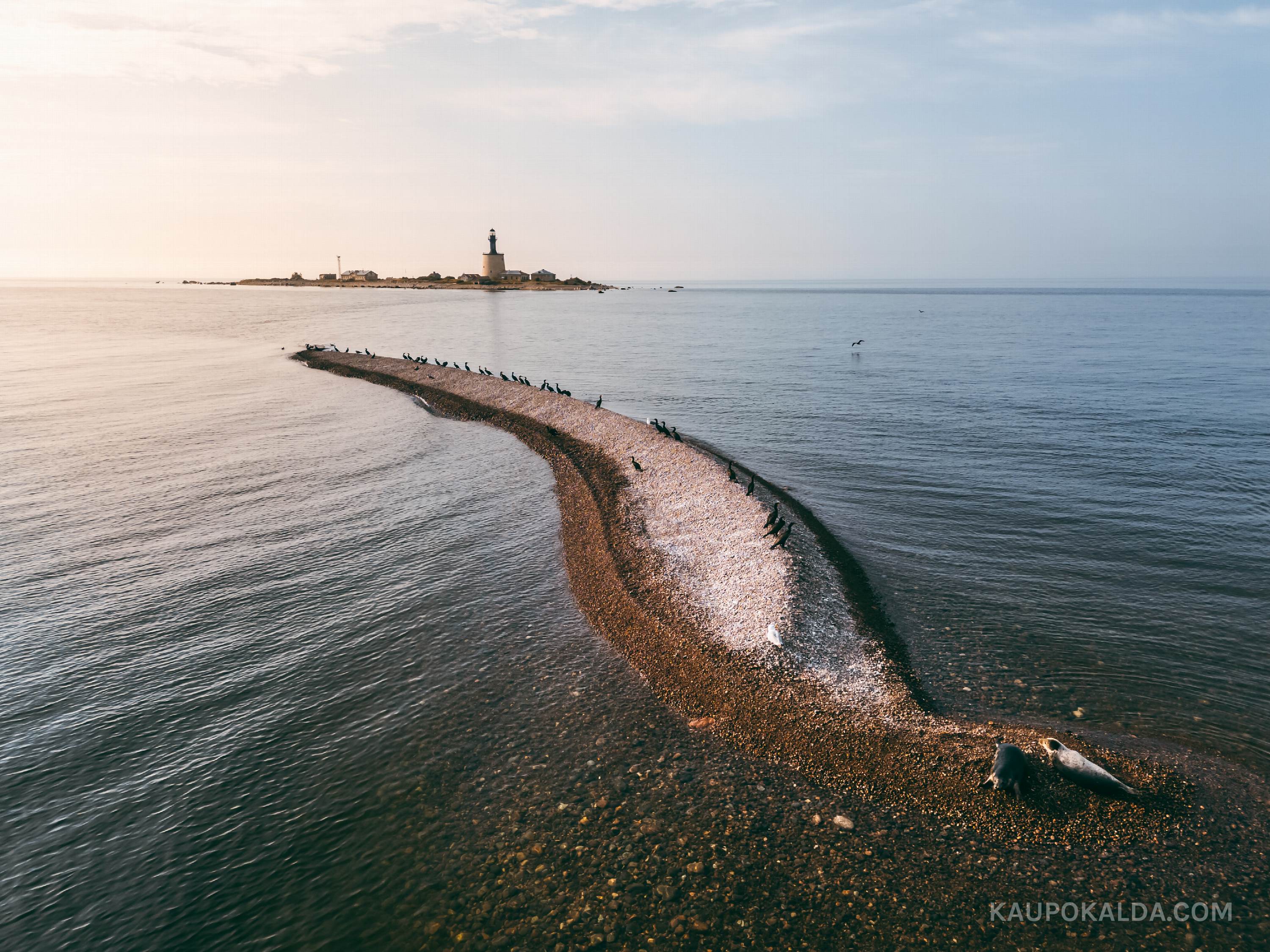 Hülged Keri leetseljakul Kagusäär