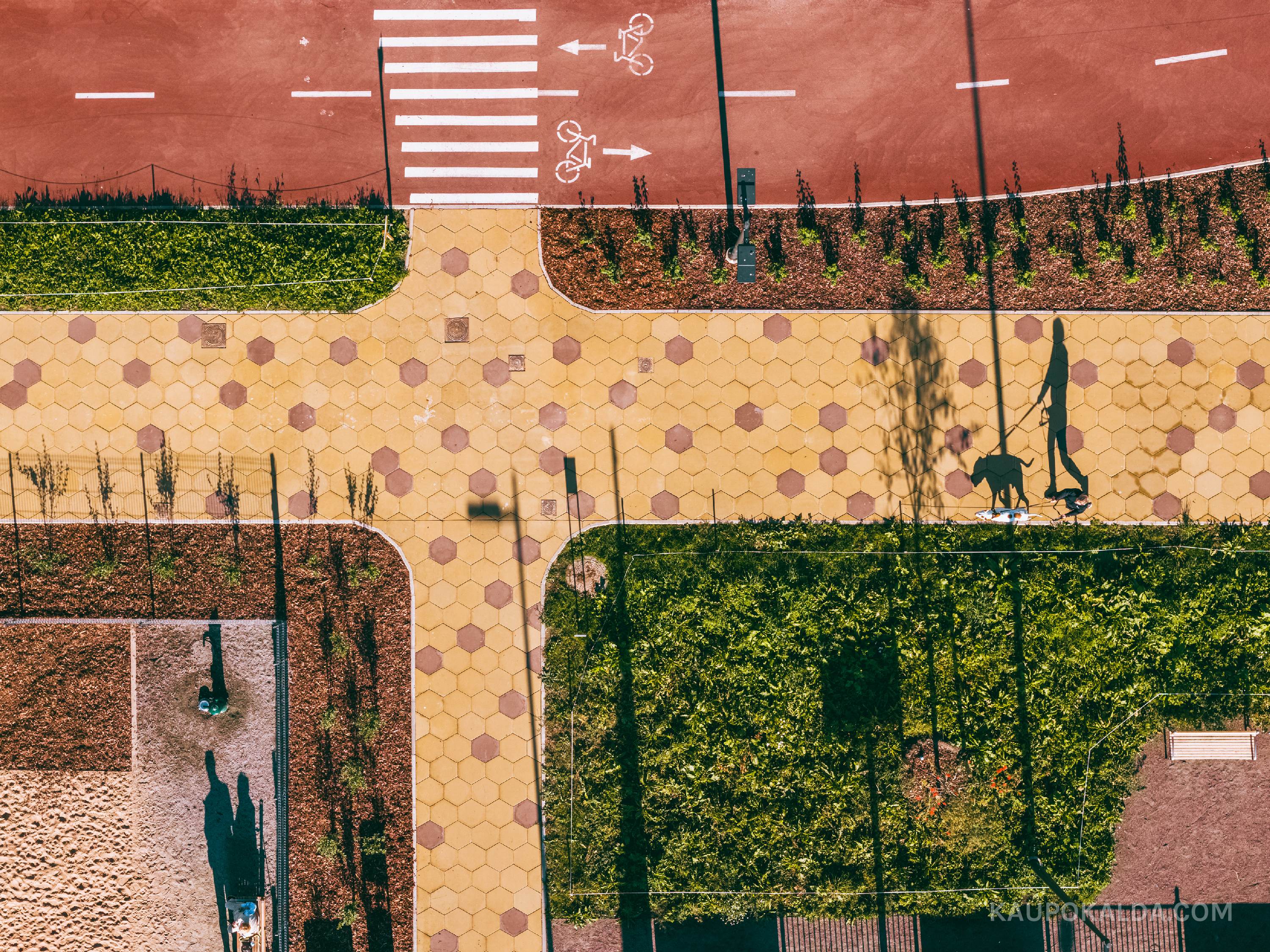 Putukaväil (seeria)