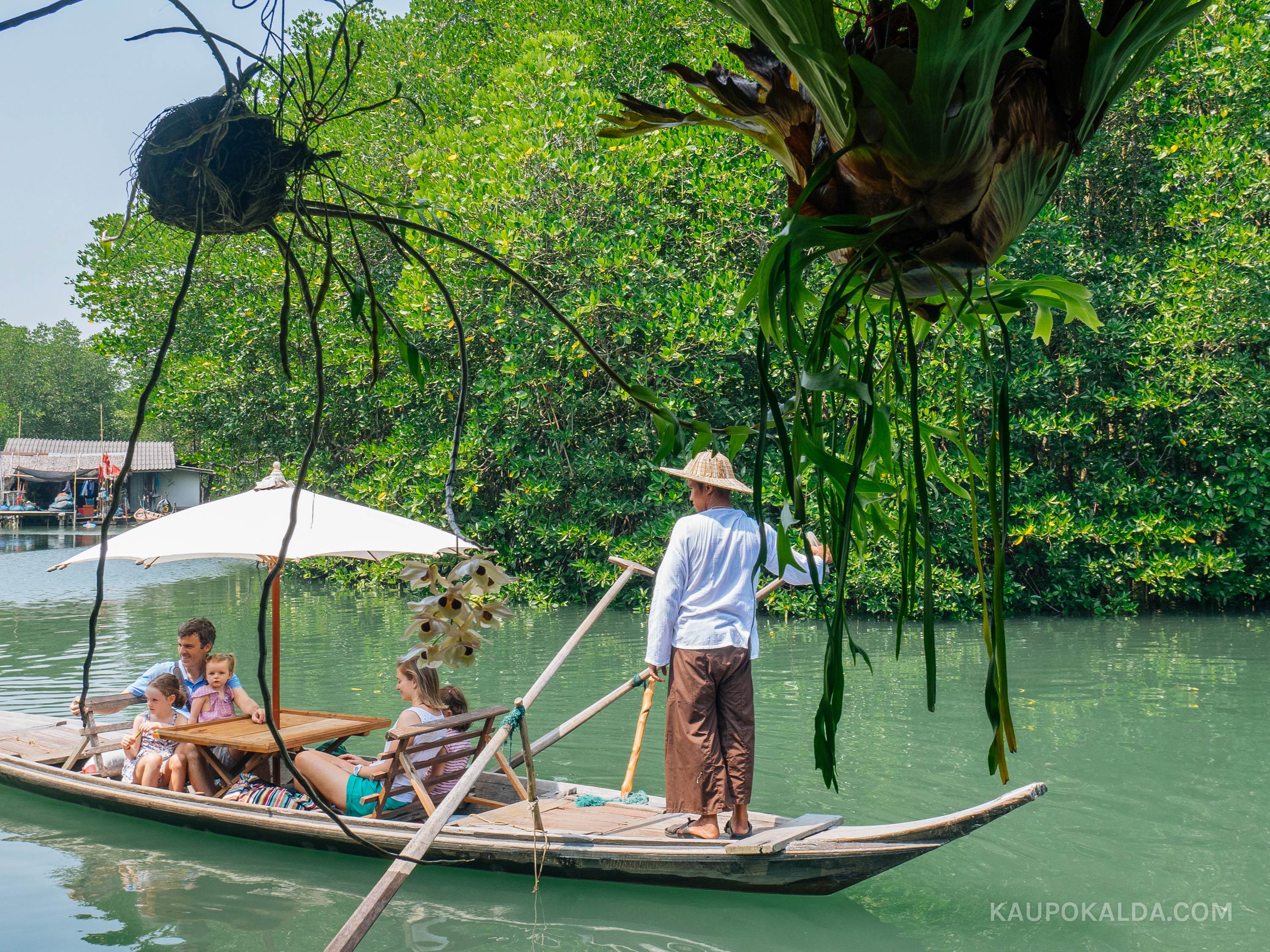 Paadiretk mangroovimetsas