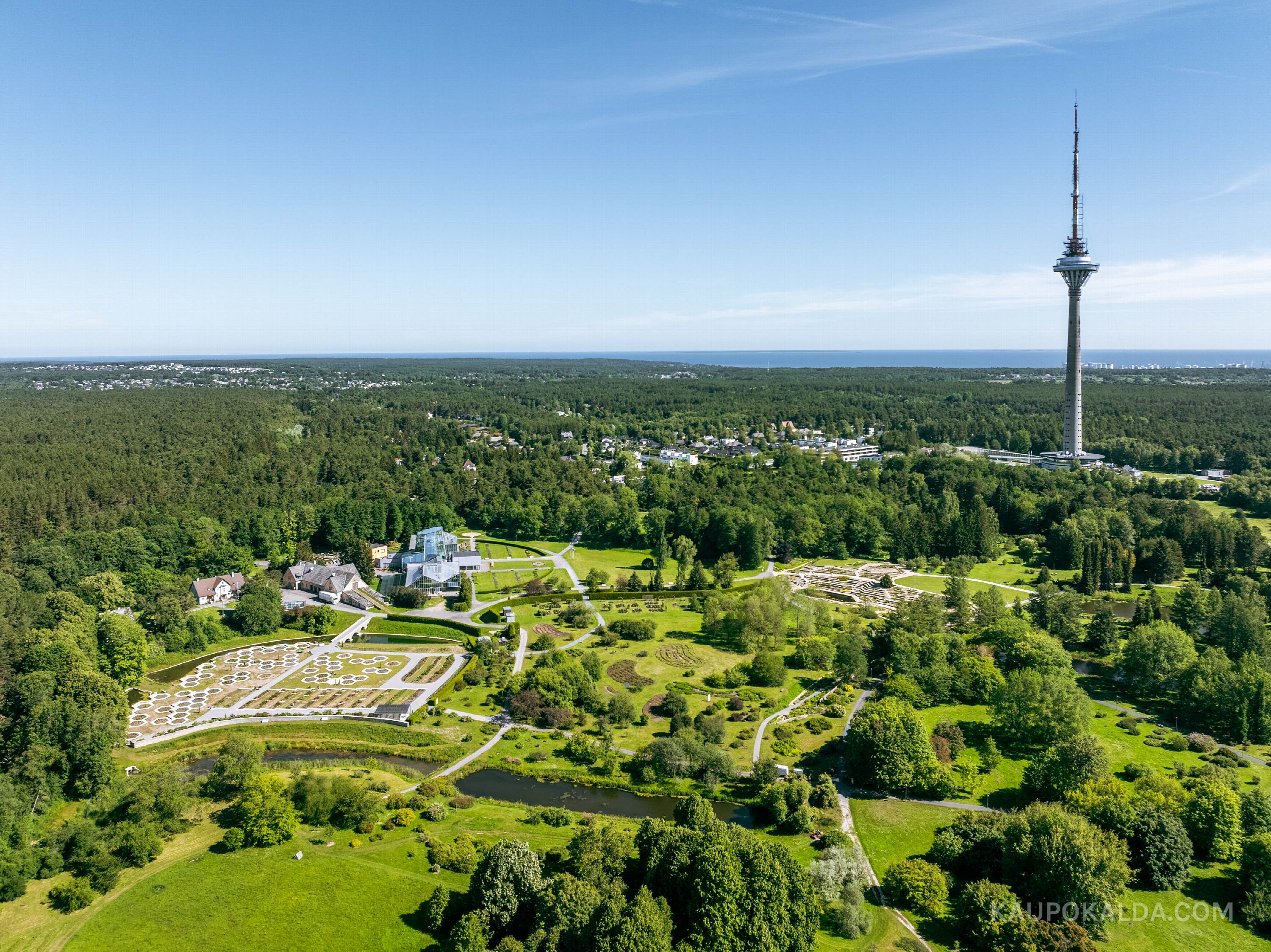 Tallinna Botaanikaaed