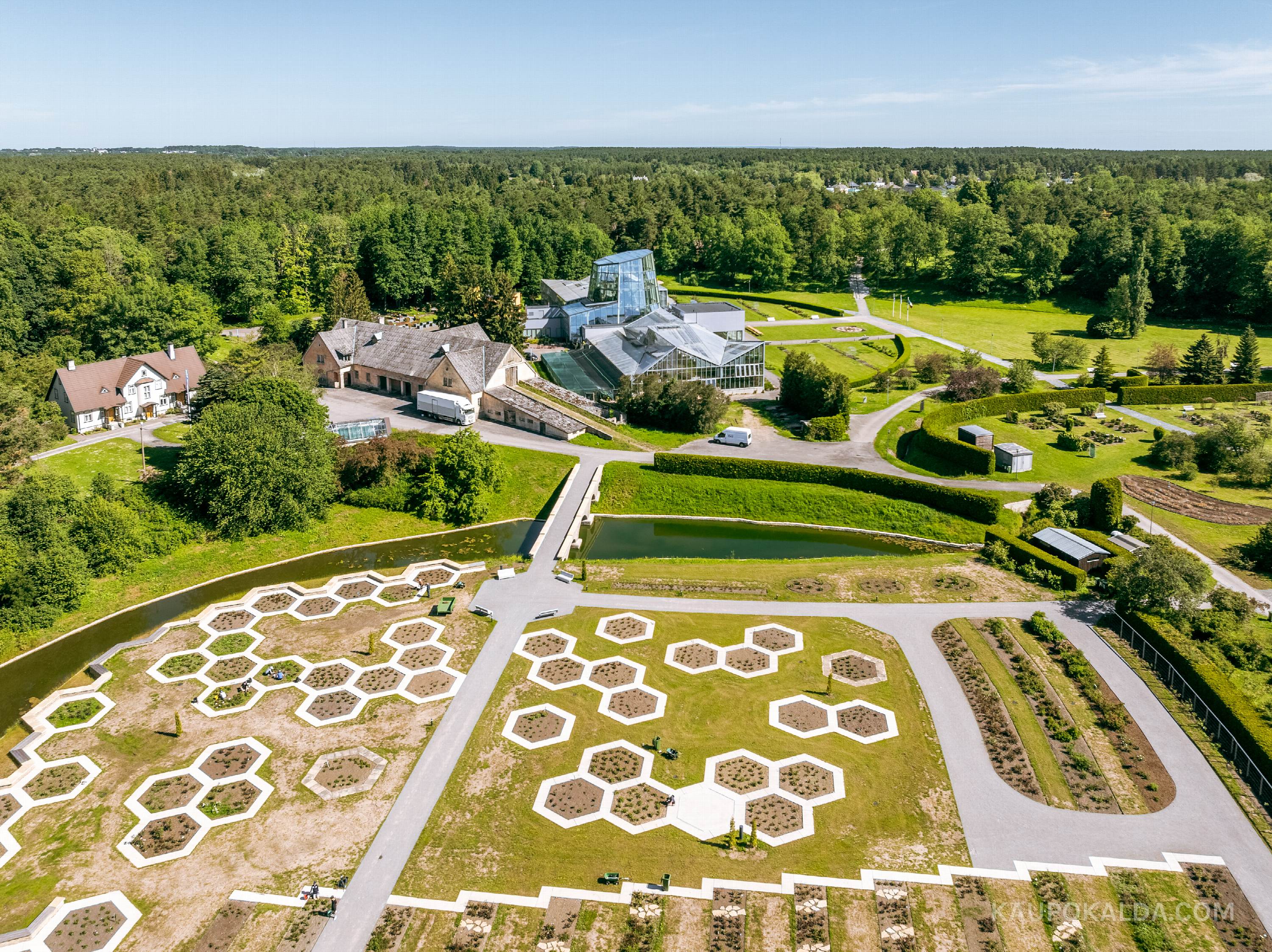 Tallinna Botaanikaaed