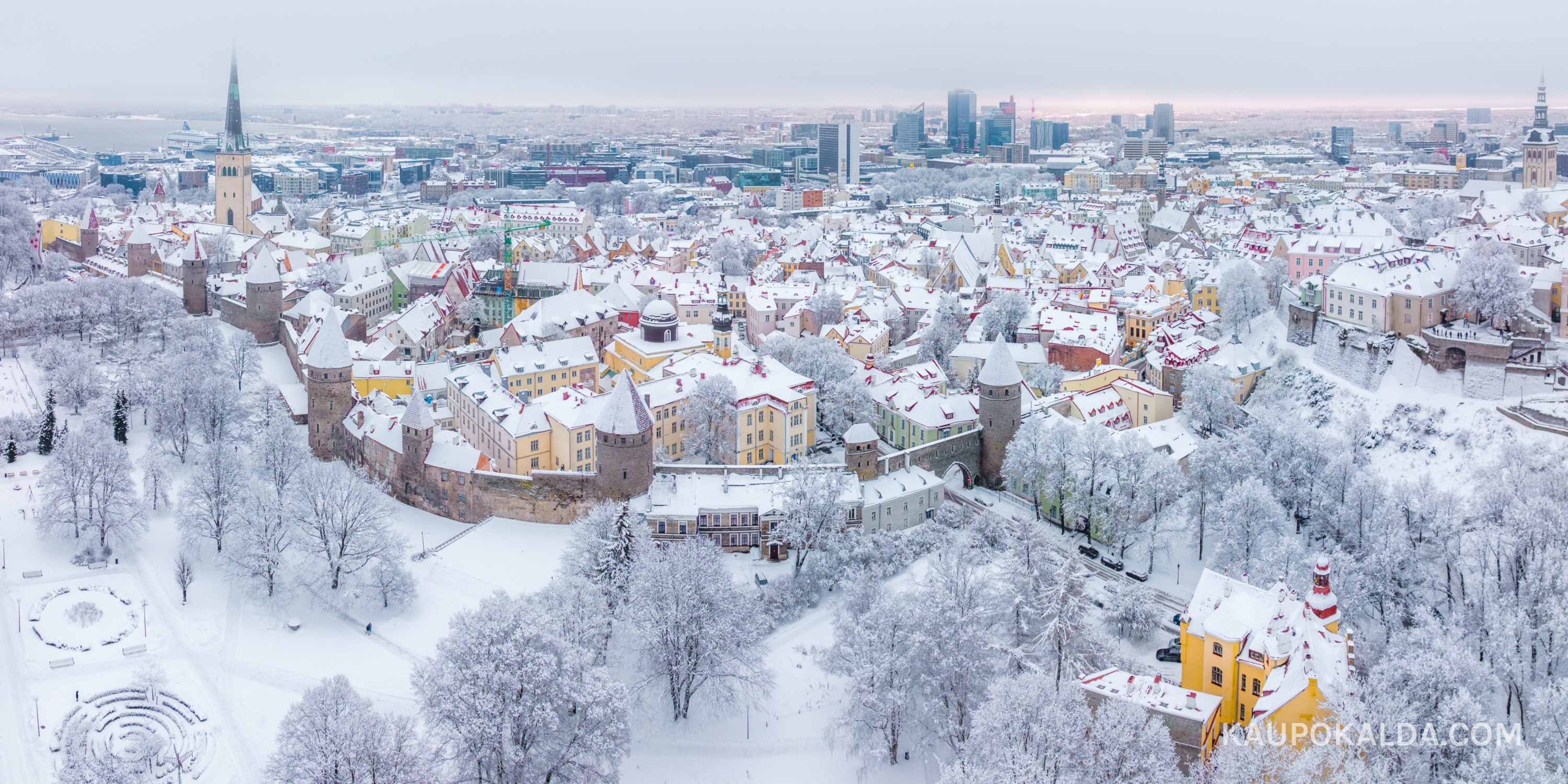 Talvine Tornide väljak