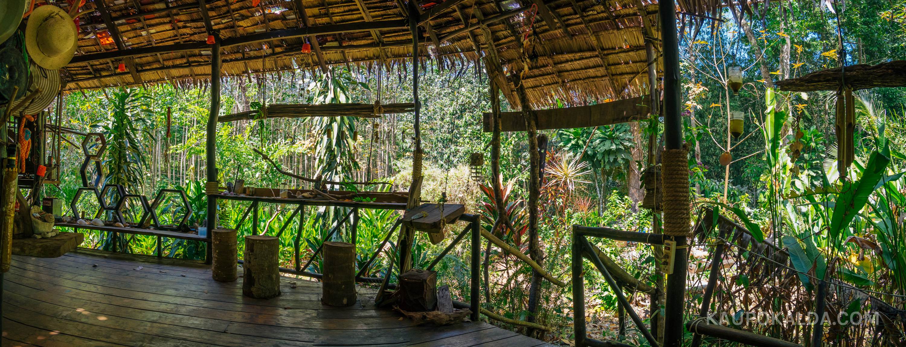 Jungle View Bungalows