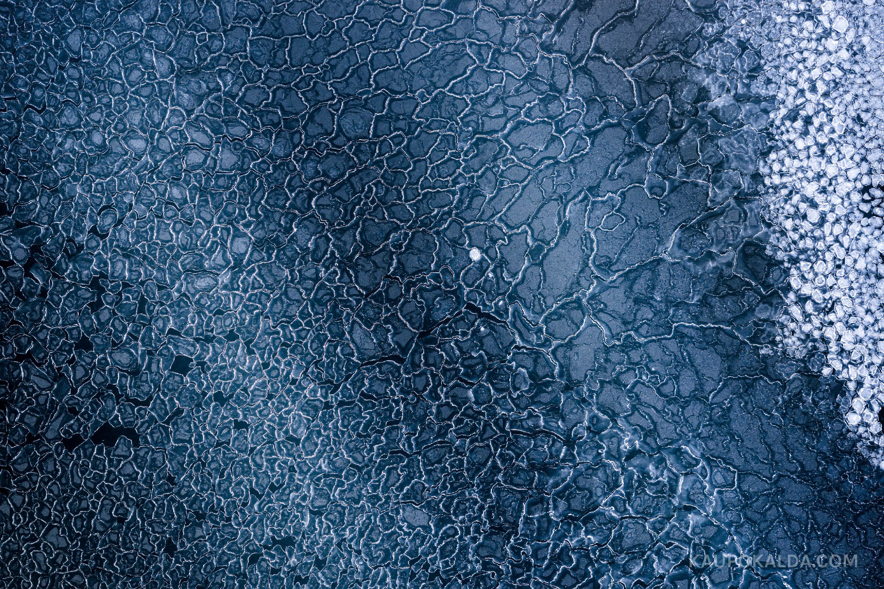 Jääkuninganna kleidikangas