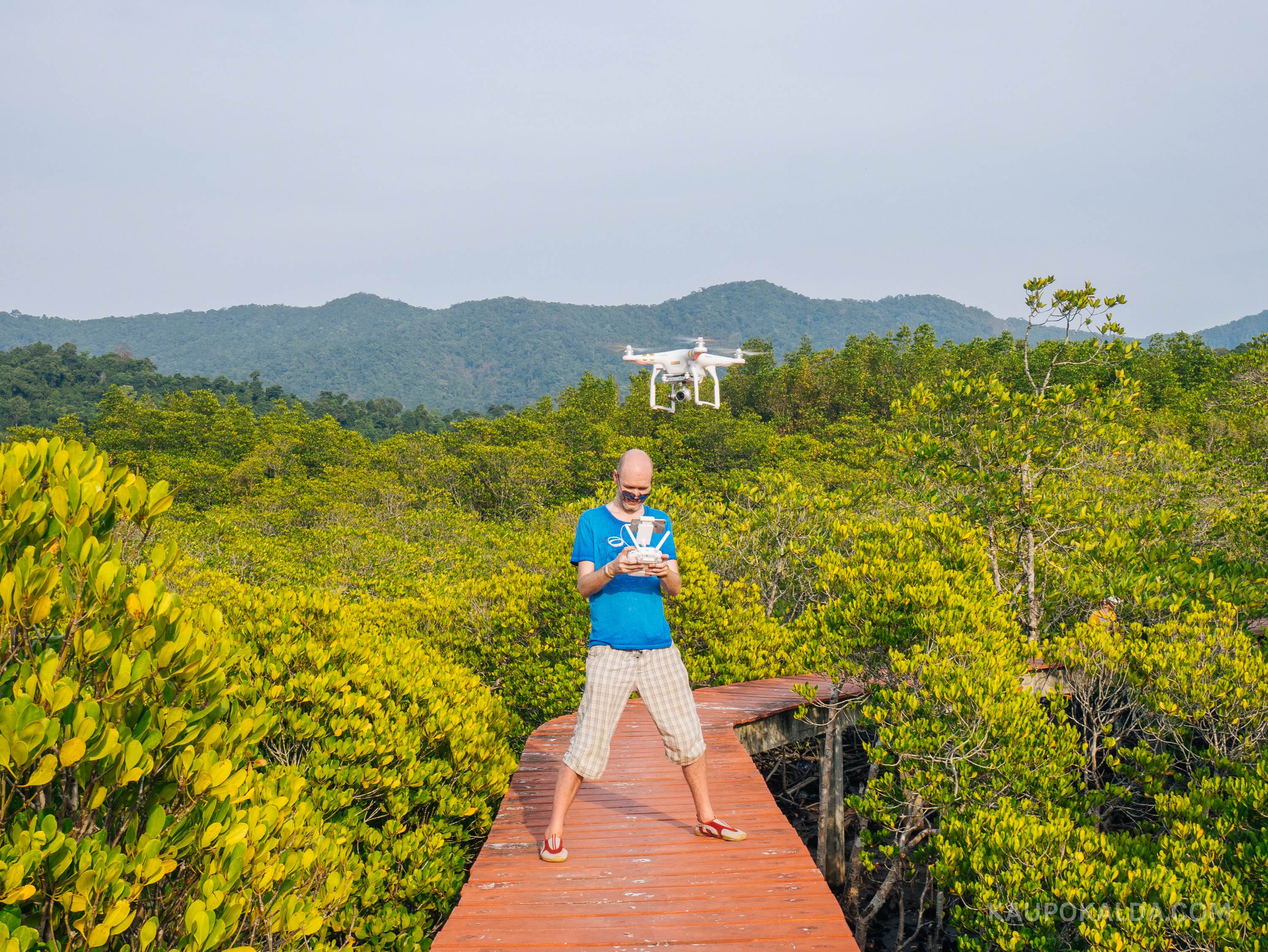 Mangroovimetsades lendamas