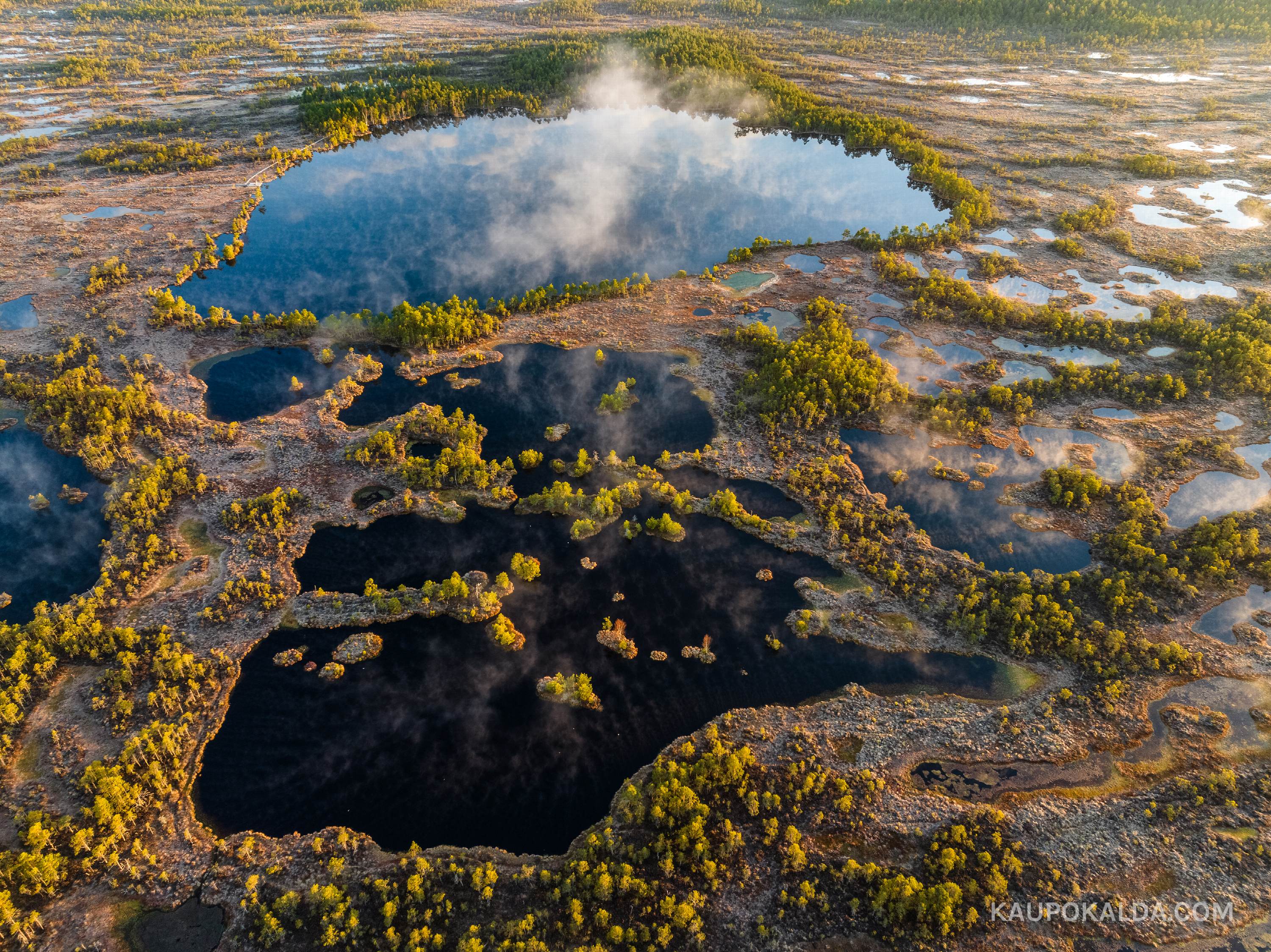 Hommikune uduloor Kakerdaja rabas