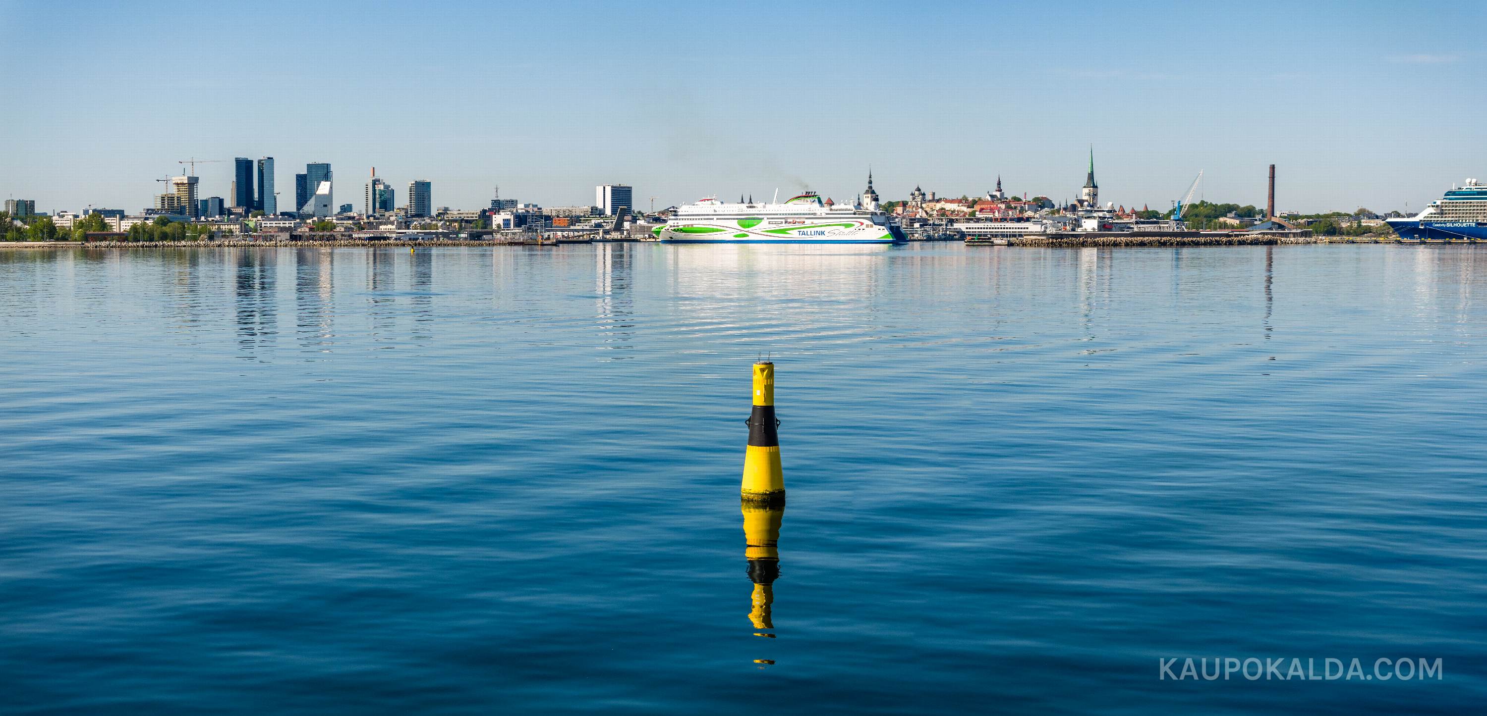 Kilukarbisiluett toodriga