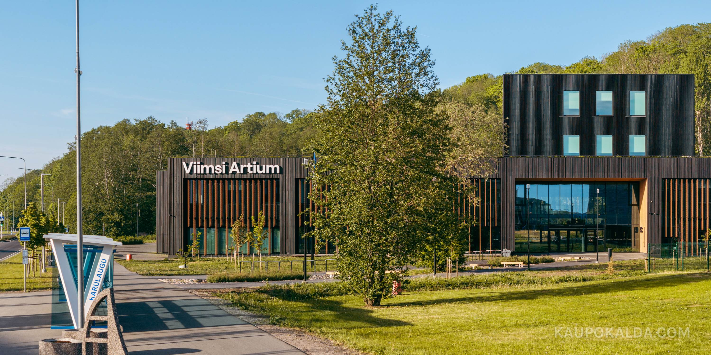 Viimsi Artium