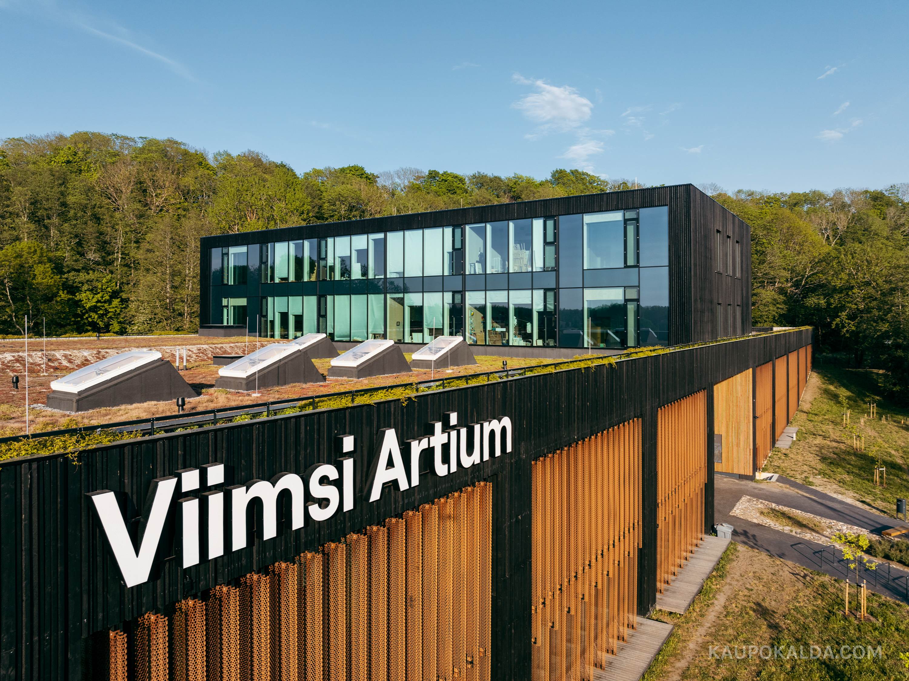 Viimsi Artium