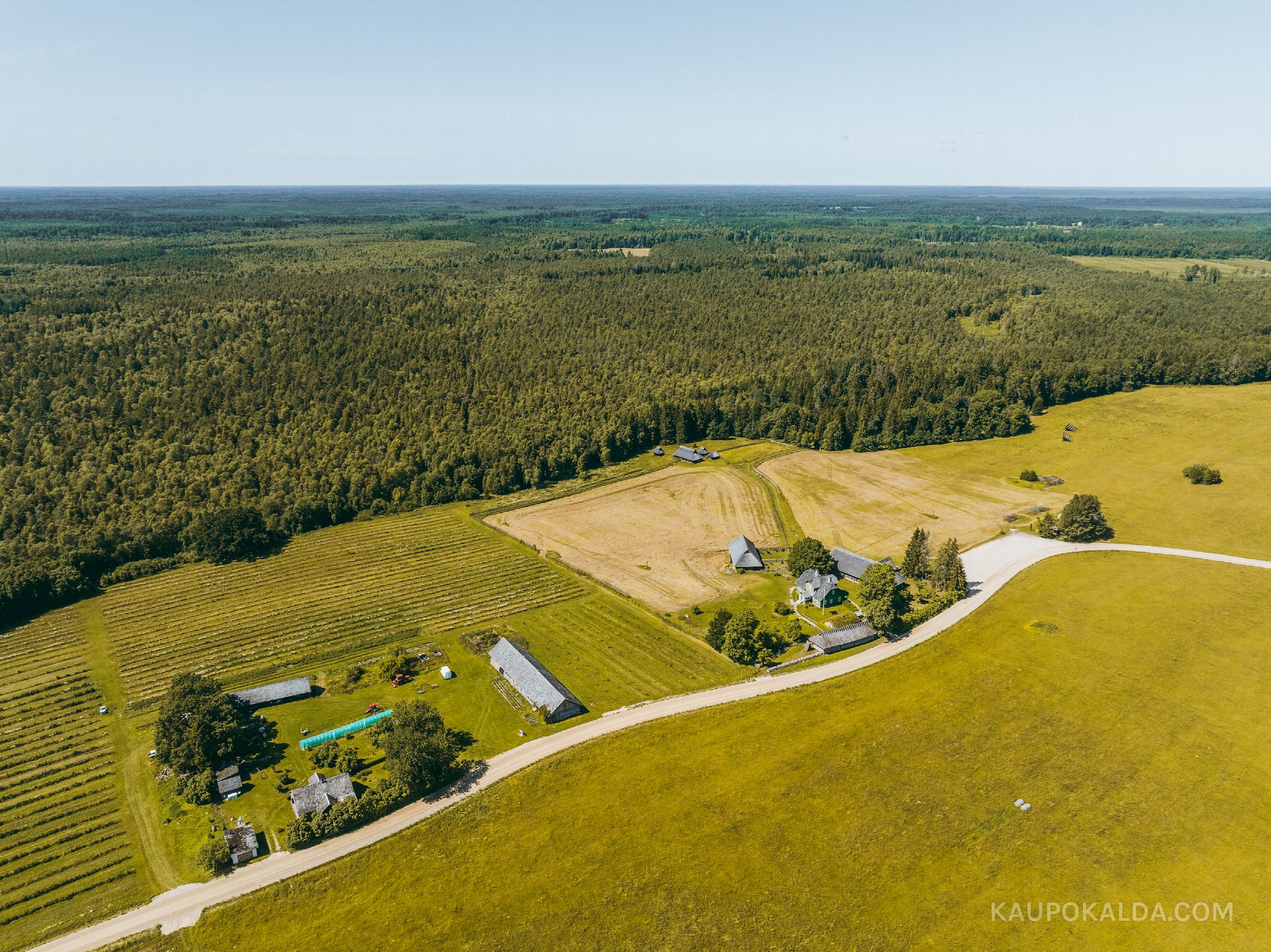 Tammsaare muuseum Vargamäel