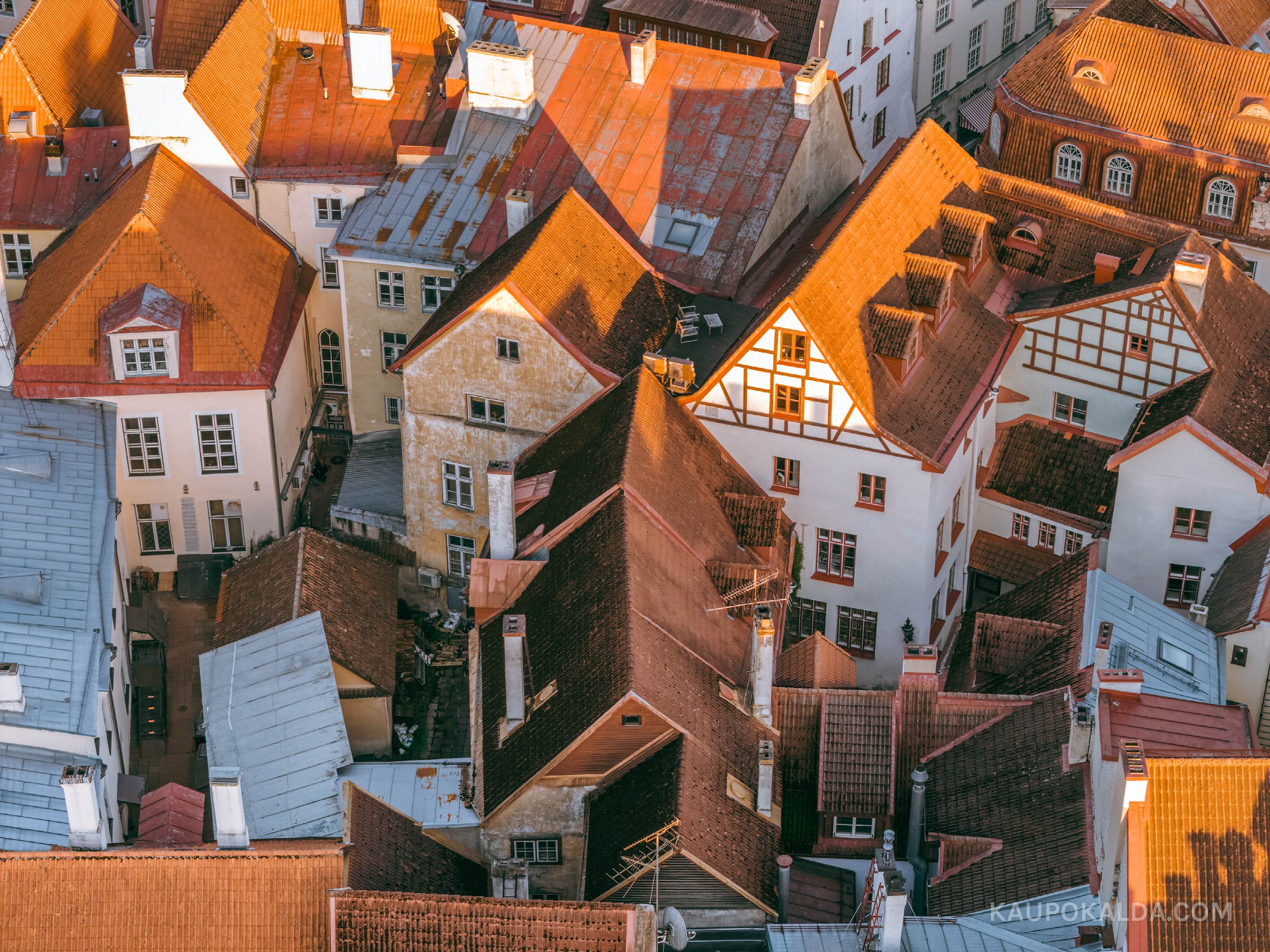 Külge külje kõrval